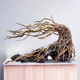 Aquarium Driftwood