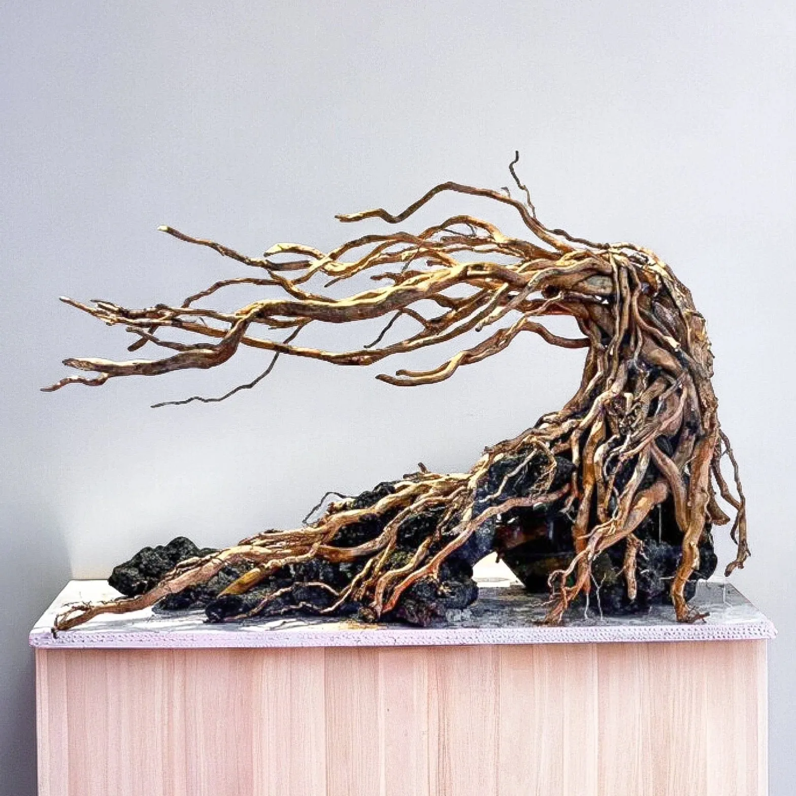 Aquarium Driftwood