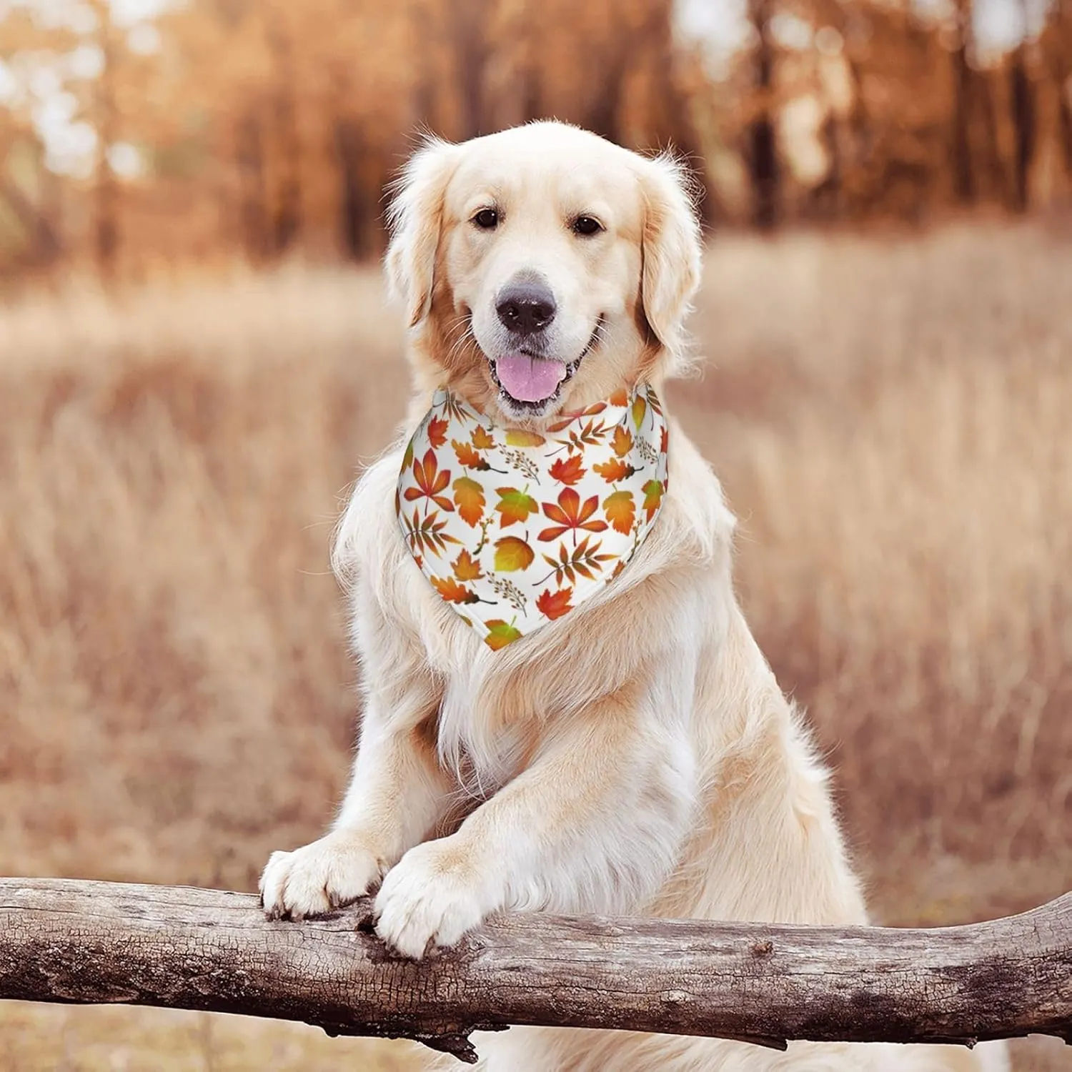 Autumn Fall Maple Leaves Harvest Dog Bandana Scarf Triangle Bibs Pet Accessories Cat Kerchief