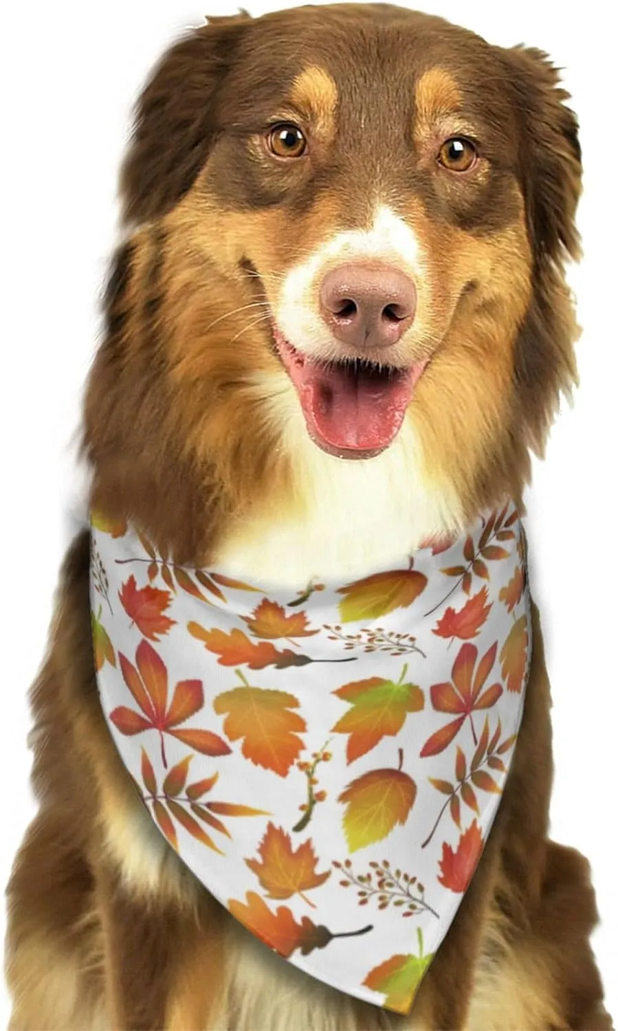 Autumn Fall Maple Leaves Harvest Dog Bandana Scarf Triangle Bibs Pet Accessories Cat Kerchief