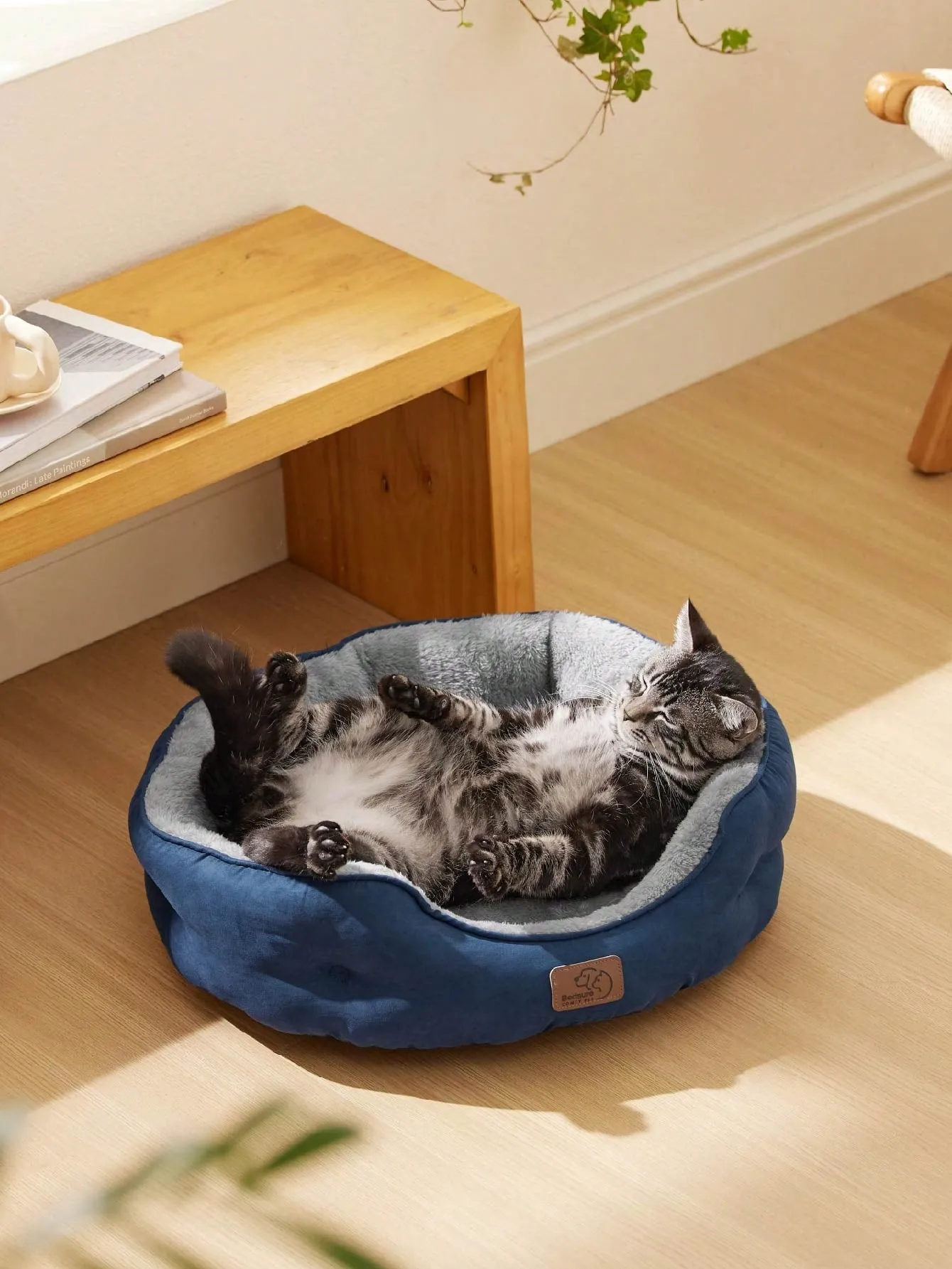 Bedsure Round Cat Beds For Indoor Cats, Dog Beds For Small Dogs