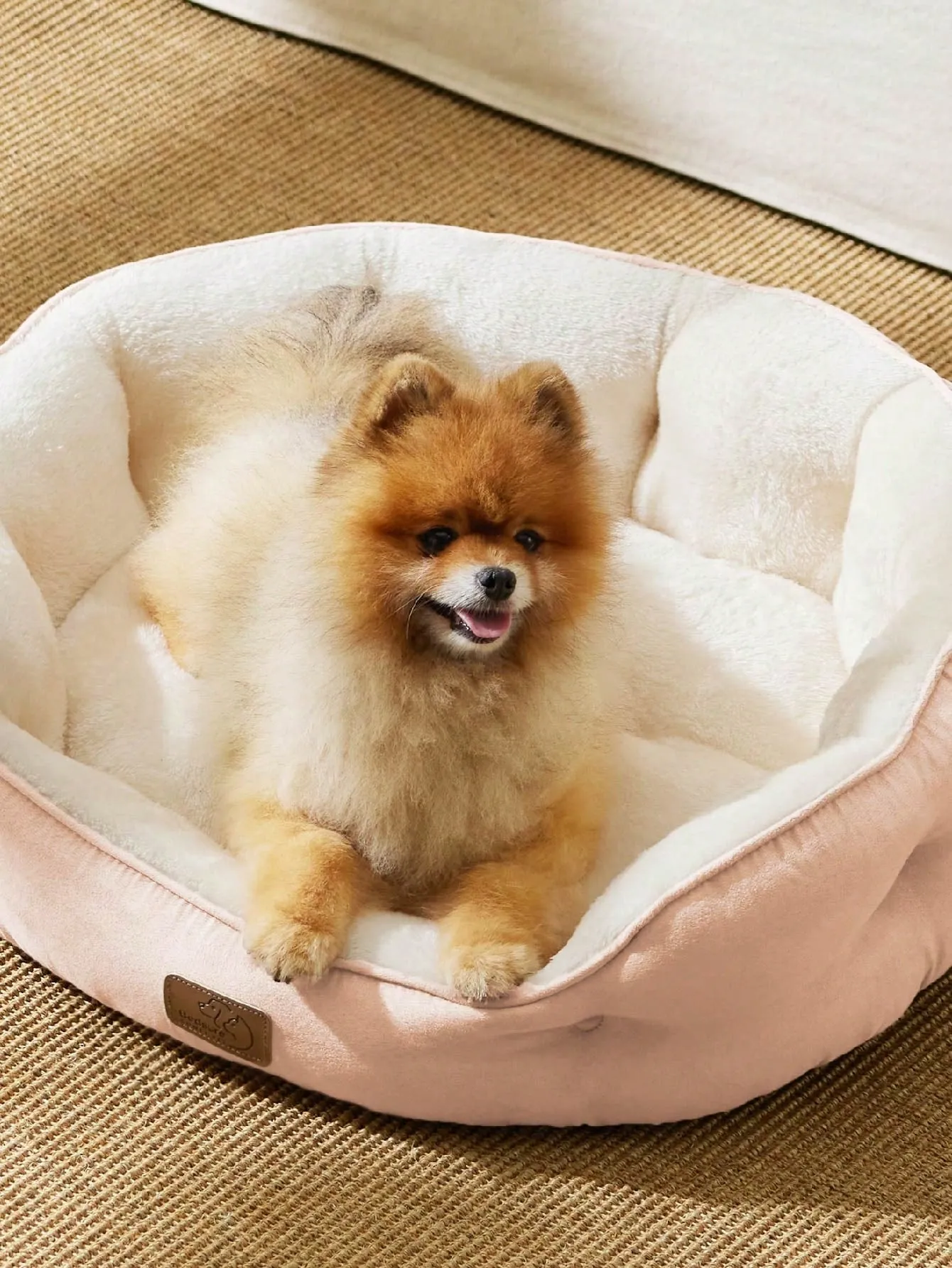 Bedsure Round Cat Beds For Indoor Cats, Dog Beds For Small Dogs