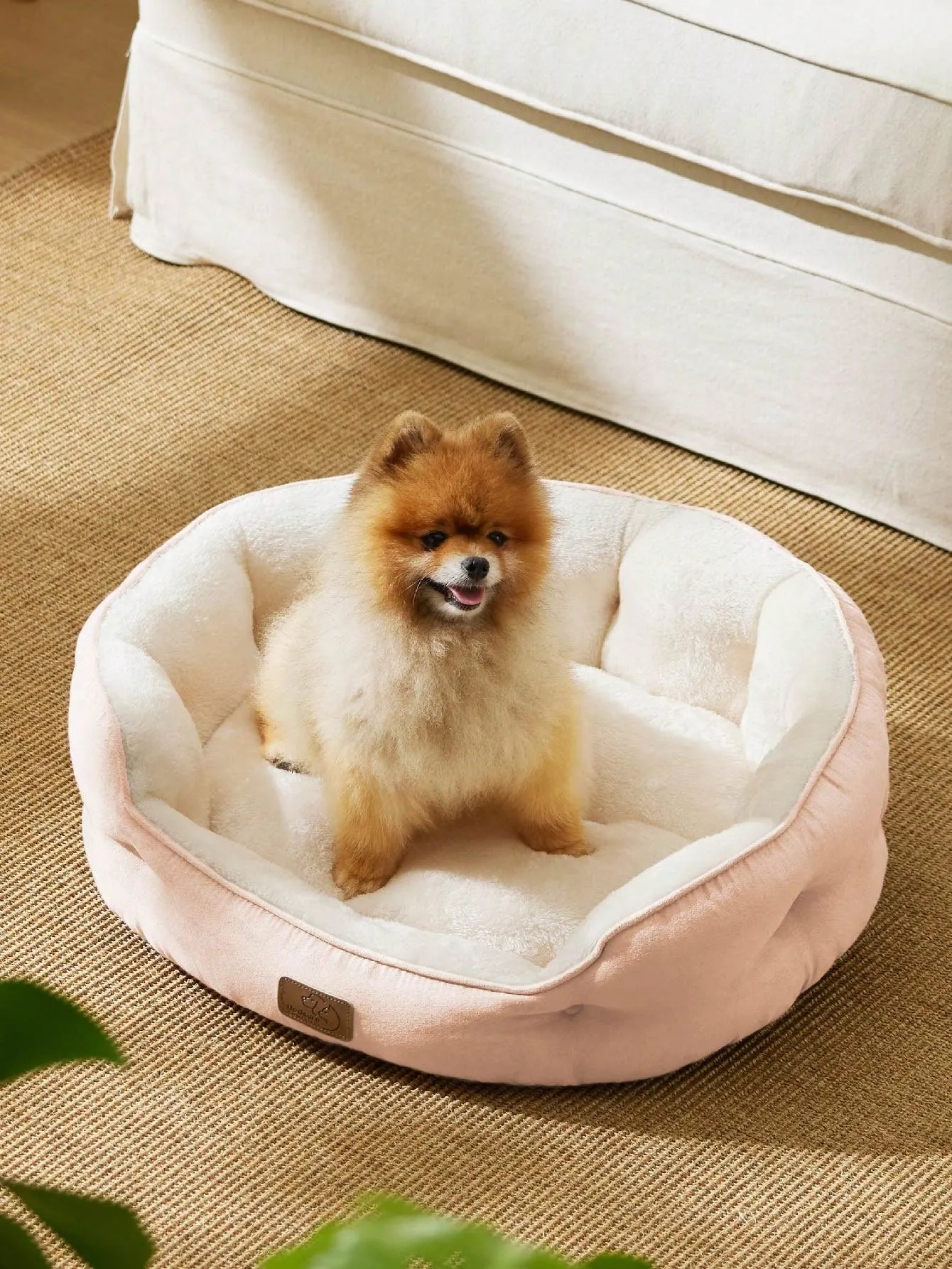 Bedsure Round Cat Beds For Indoor Cats, Dog Beds For Small Dogs