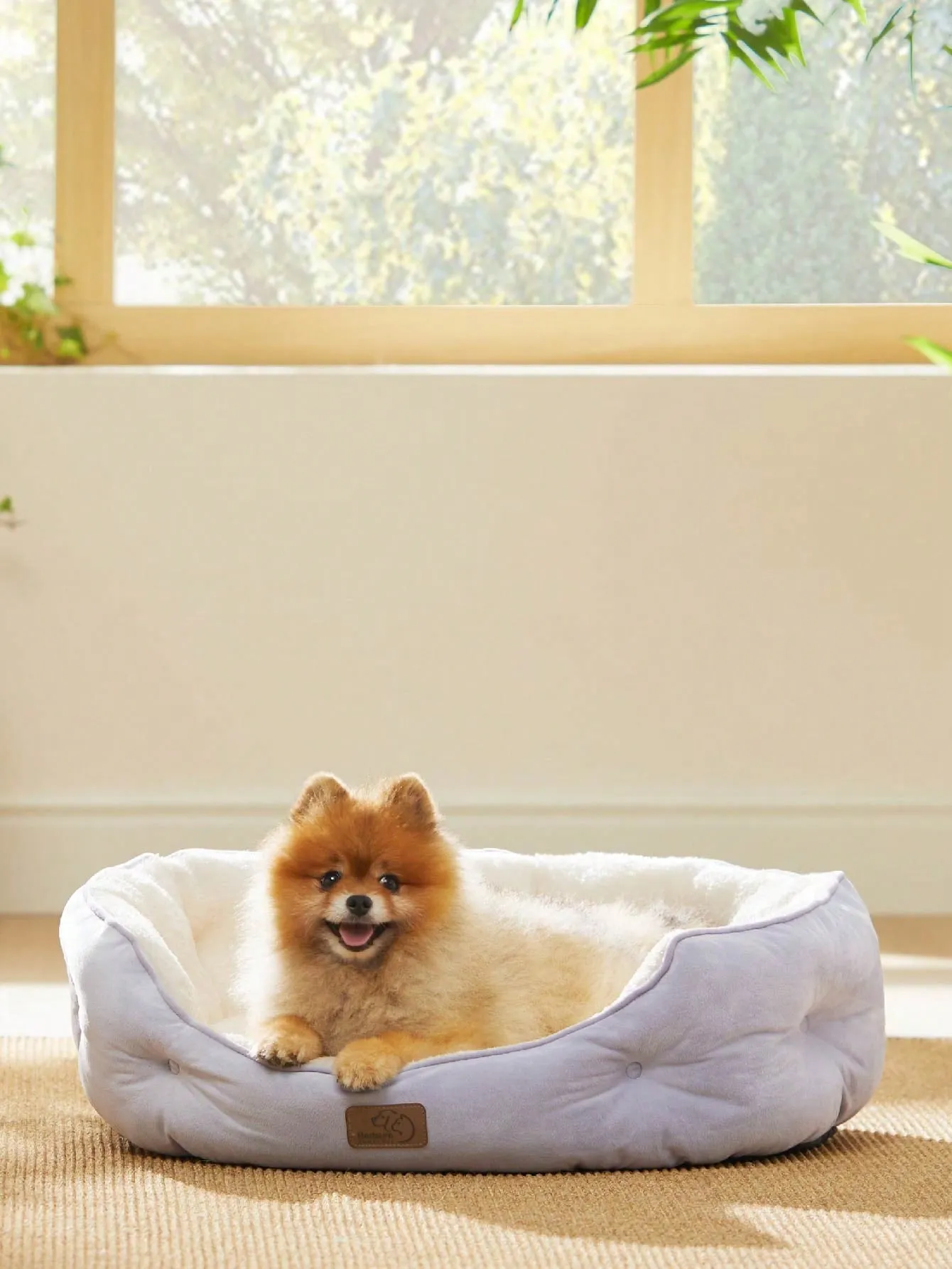 Bedsure Round Cat Beds For Indoor Cats, Dog Beds For Small Dogs