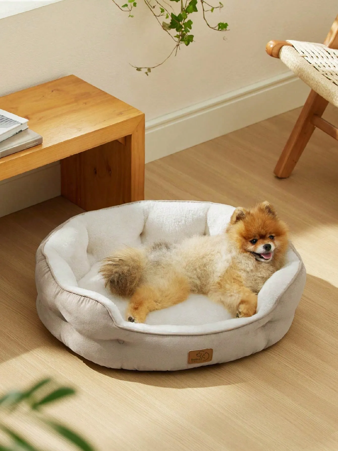 Bedsure Round Cat Beds For Indoor Cats, Dog Beds For Small Dogs