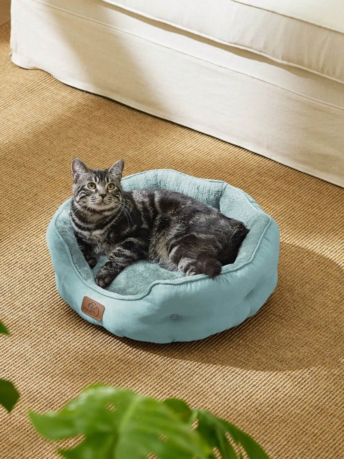 Bedsure Round Cat Beds For Indoor Cats, Dog Beds For Small Dogs