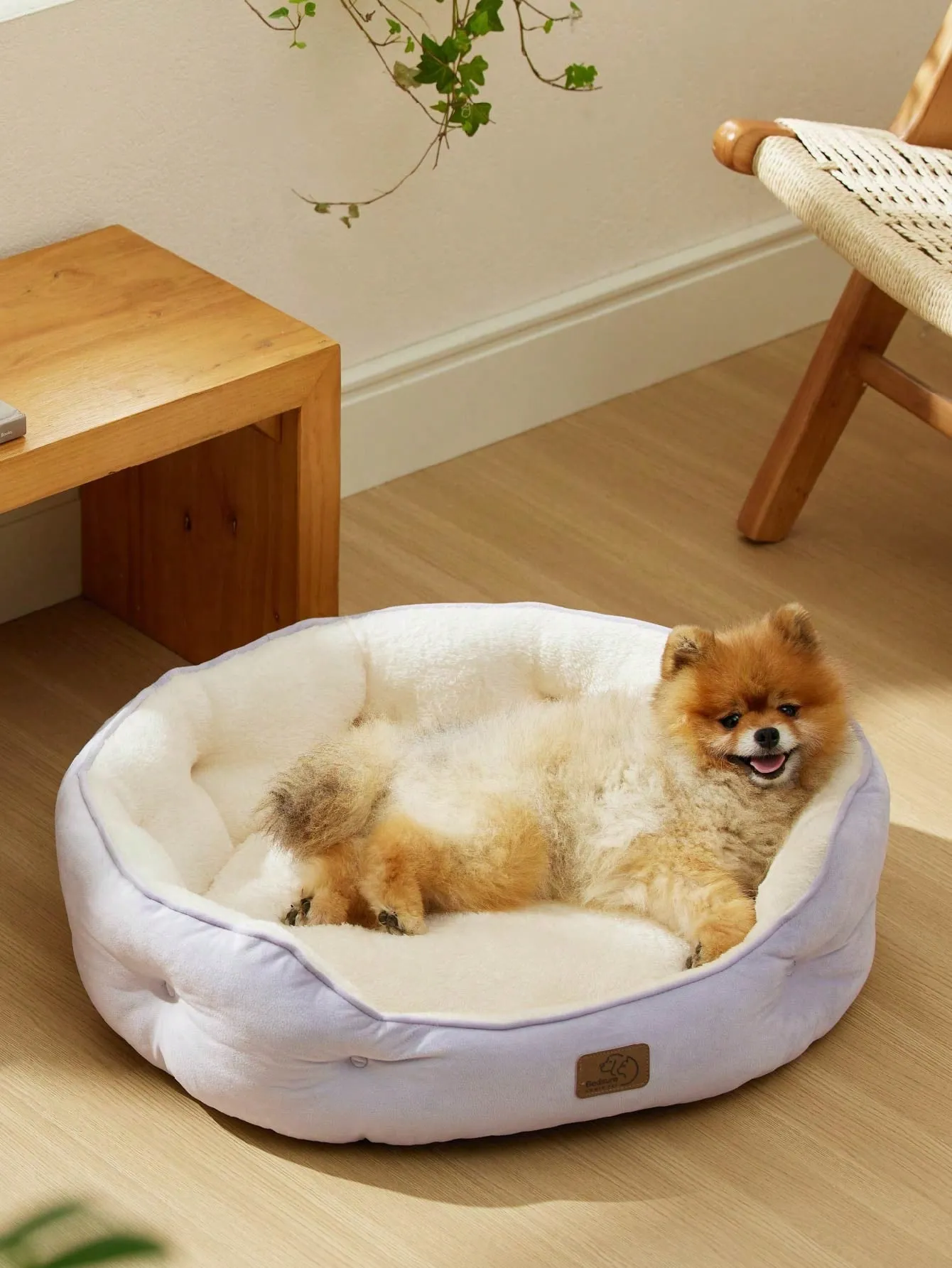 Bedsure Round Cat Beds For Indoor Cats, Dog Beds For Small Dogs