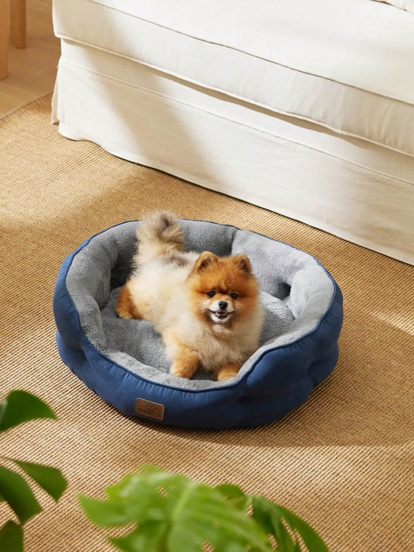 Bedsure Round Cat Beds For Indoor Cats, Dog Beds For Small Dogs