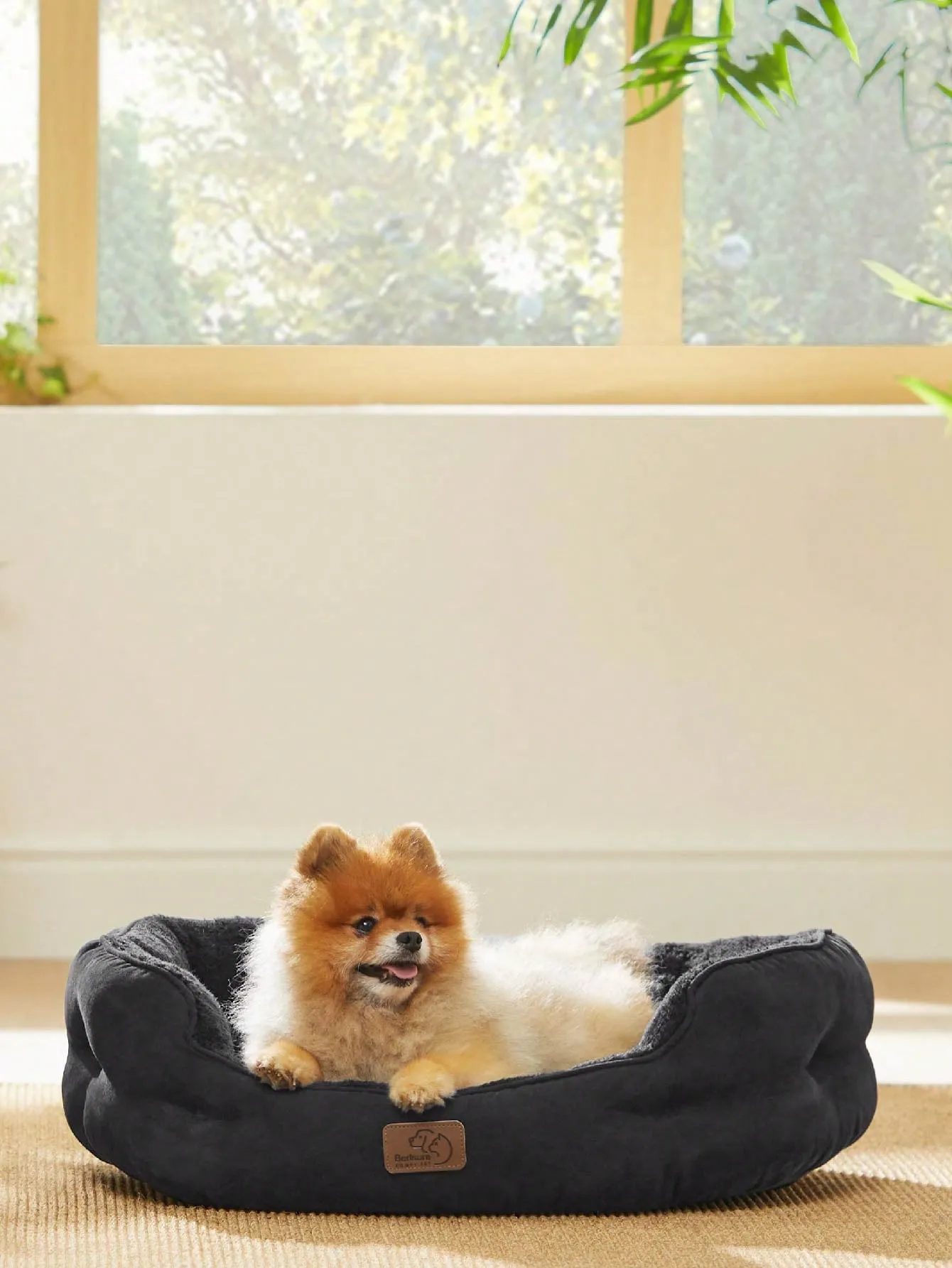 Bedsure Round Cat Beds For Indoor Cats, Dog Beds For Small Dogs