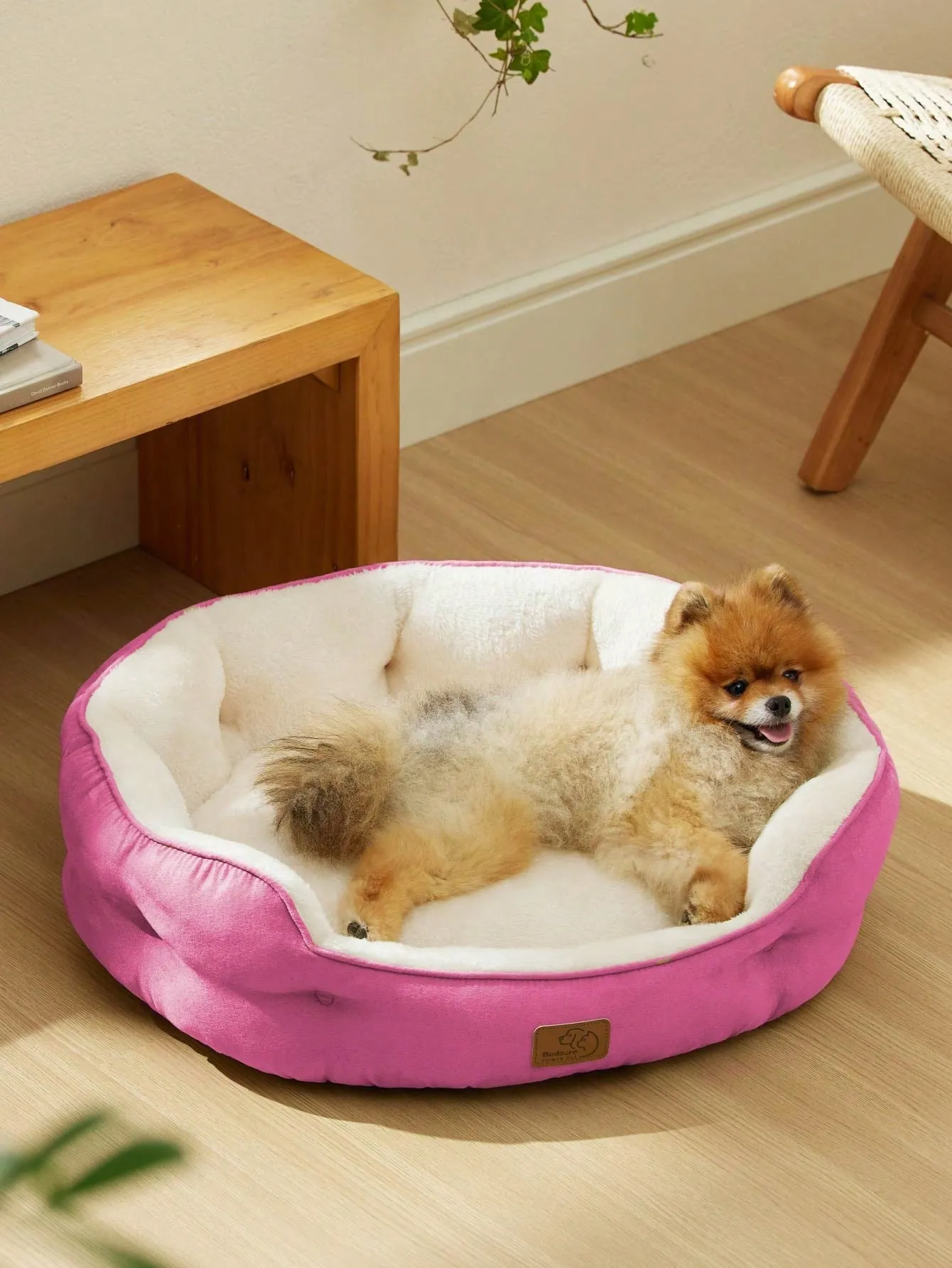 Bedsure Round Cat Beds For Indoor Cats, Dog Beds For Small Dogs