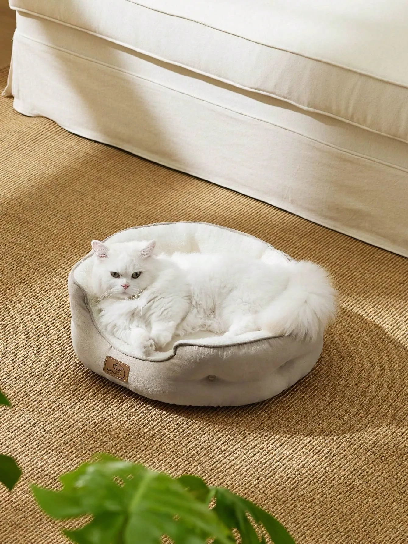 Bedsure Round Cat Beds For Indoor Cats, Dog Beds For Small Dogs