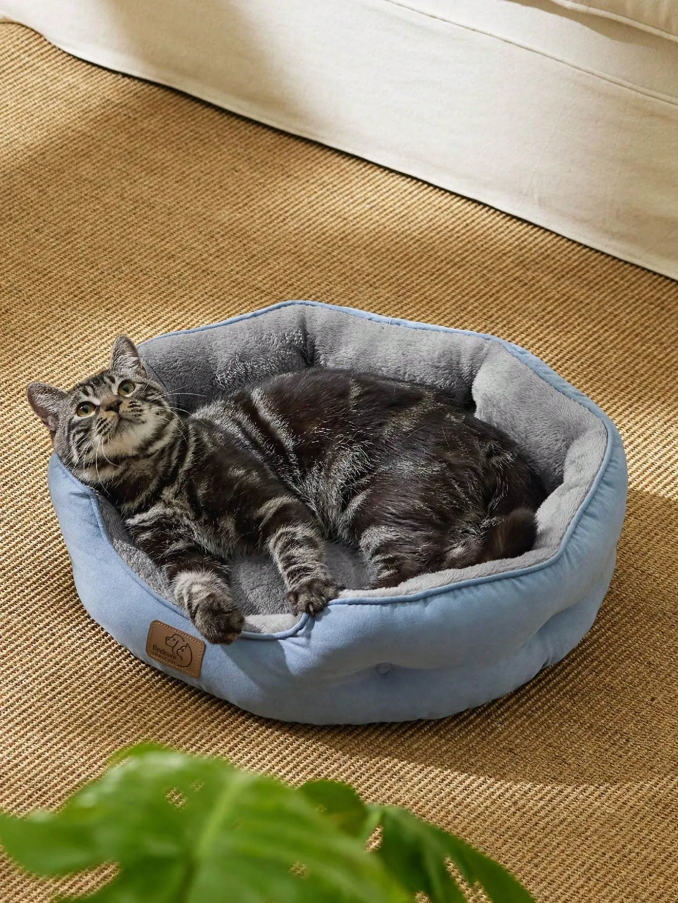 Bedsure Round Cat Beds For Indoor Cats, Dog Beds For Small Dogs