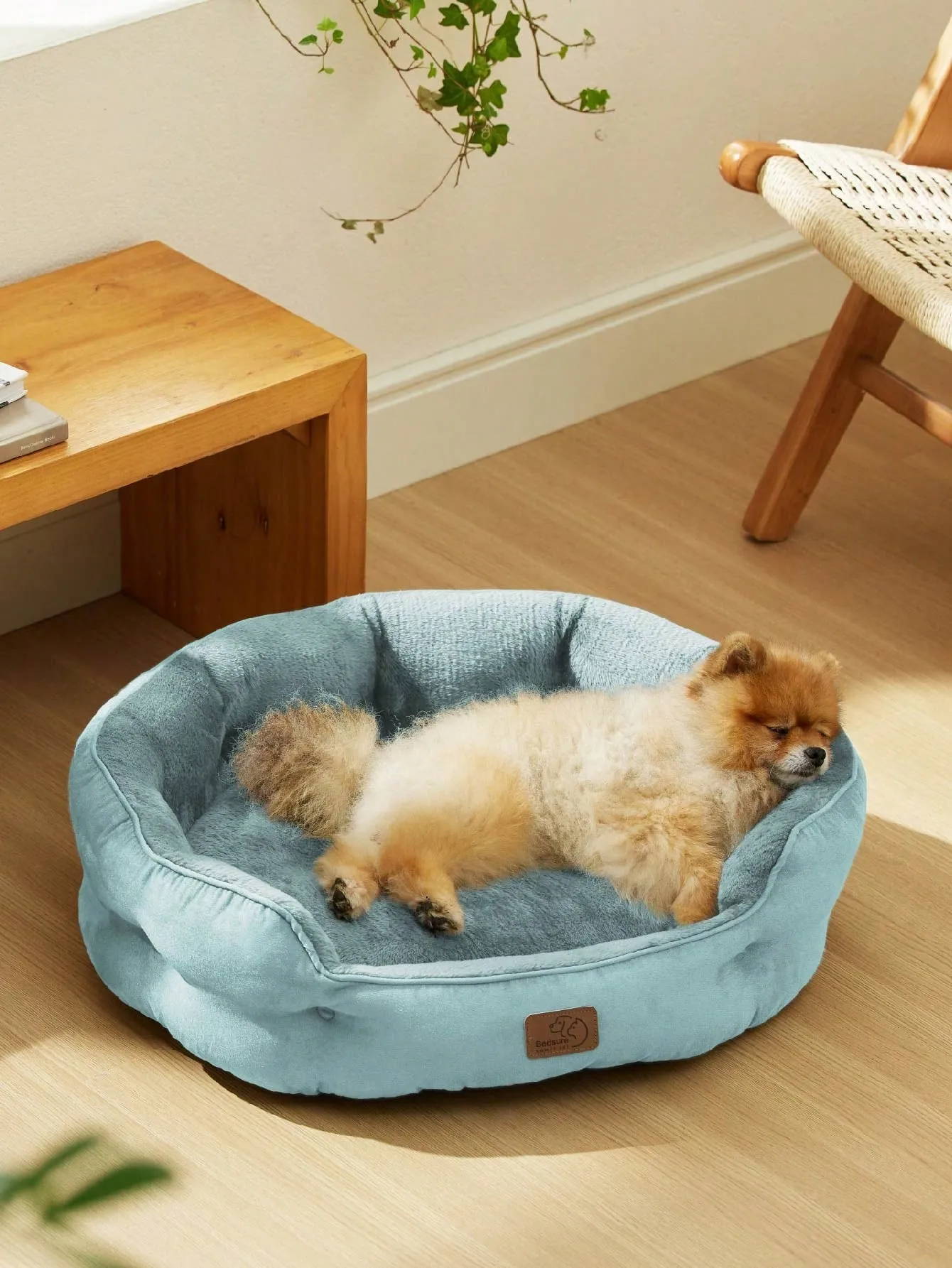 Bedsure Round Cat Beds For Indoor Cats, Dog Beds For Small Dogs