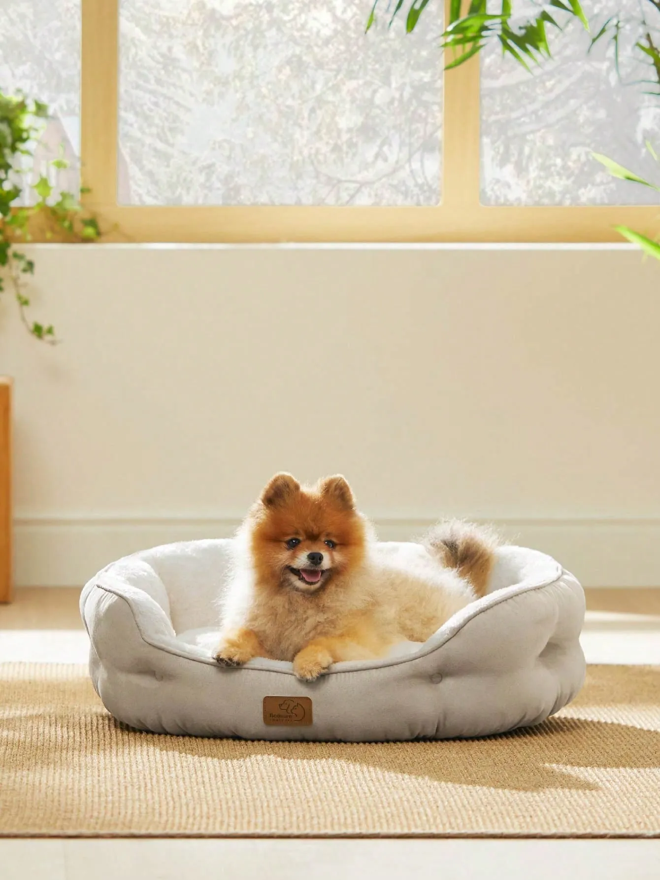 Bedsure Round Cat Beds For Indoor Cats, Dog Beds For Small Dogs