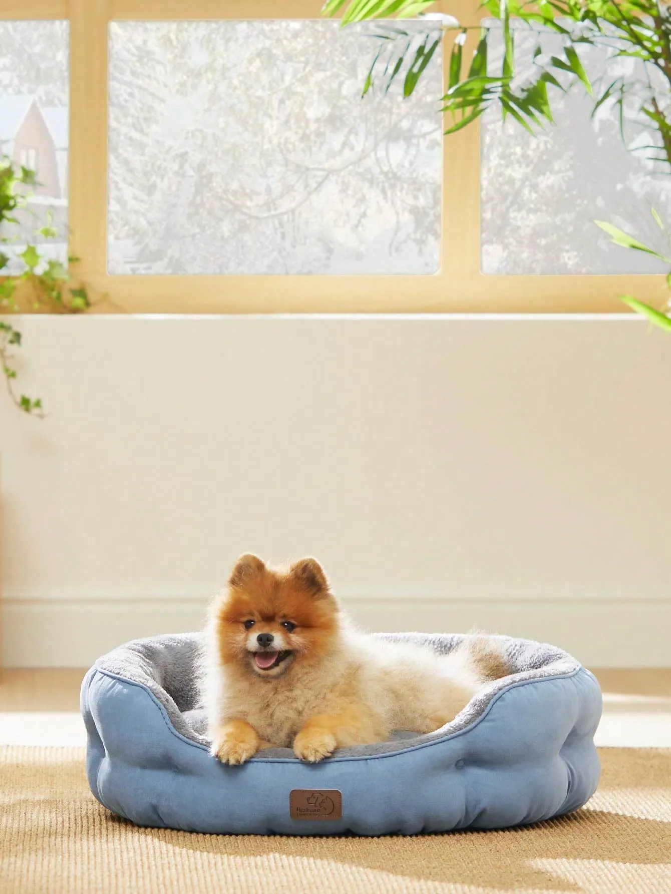 Bedsure Round Cat Beds For Indoor Cats, Dog Beds For Small Dogs