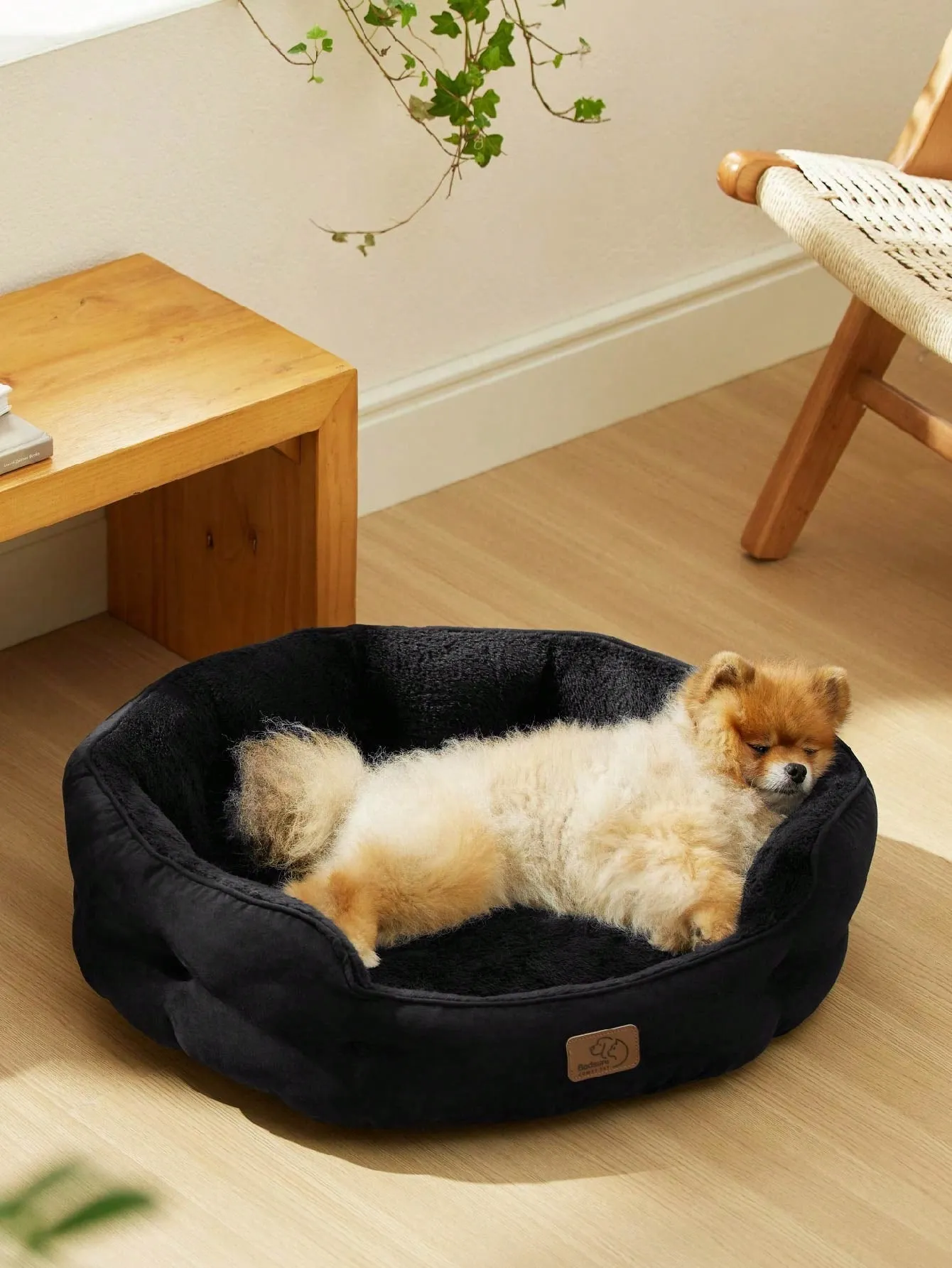Bedsure Round Cat Beds For Indoor Cats, Dog Beds For Small Dogs