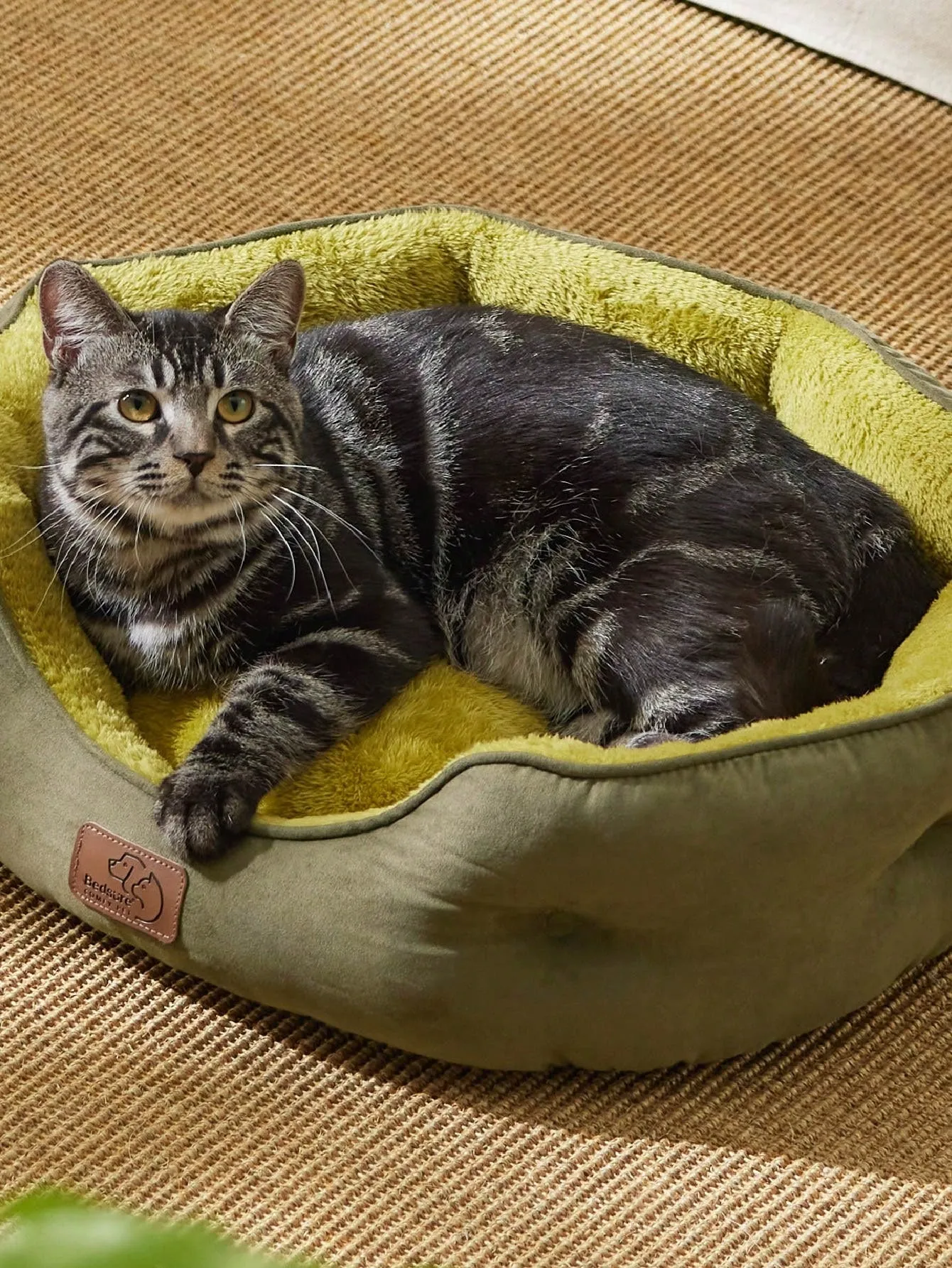 Bedsure Round Cat Beds For Indoor Cats, Dog Beds For Small Dogs
