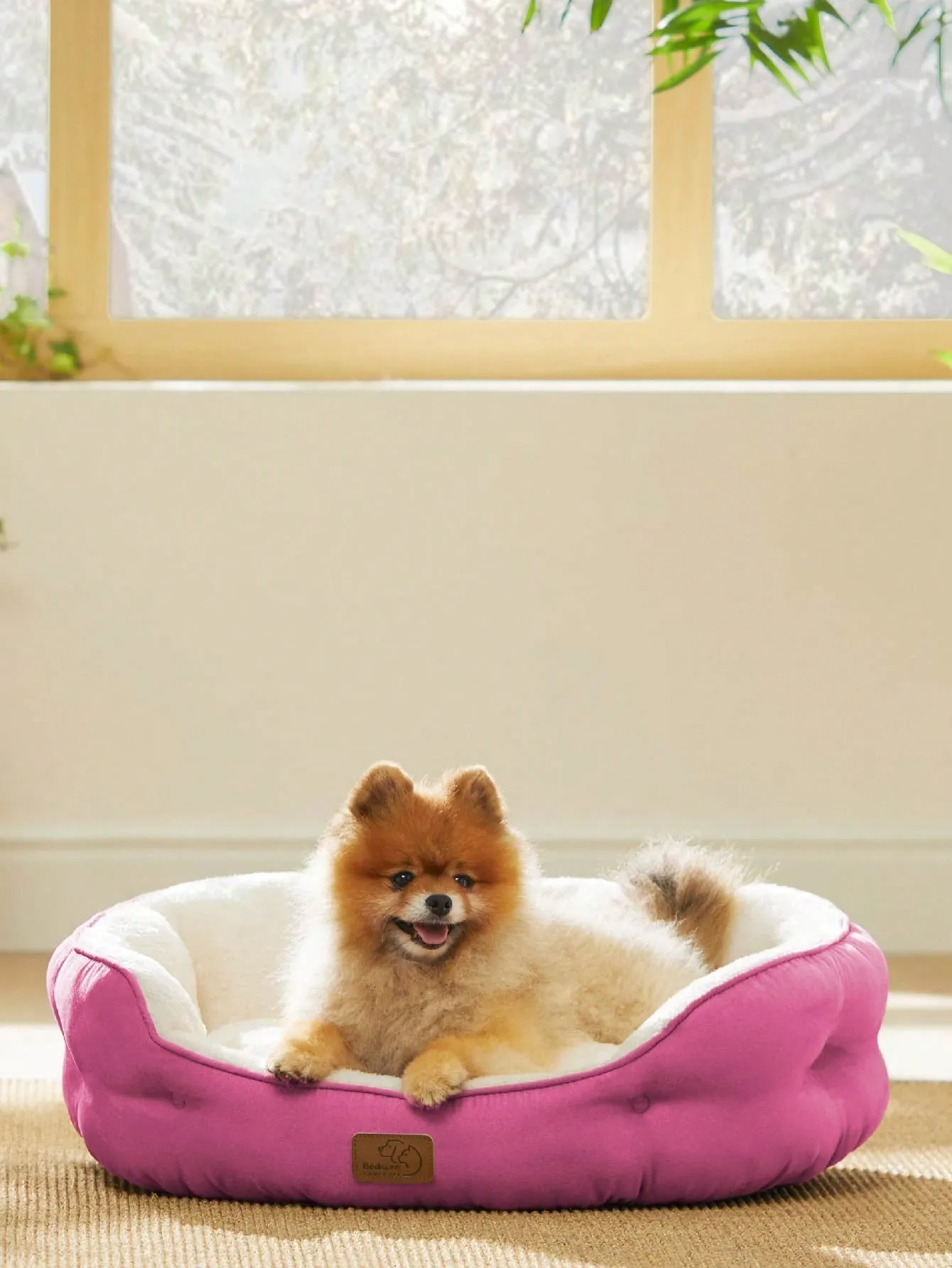 Bedsure Round Cat Beds For Indoor Cats, Dog Beds For Small Dogs