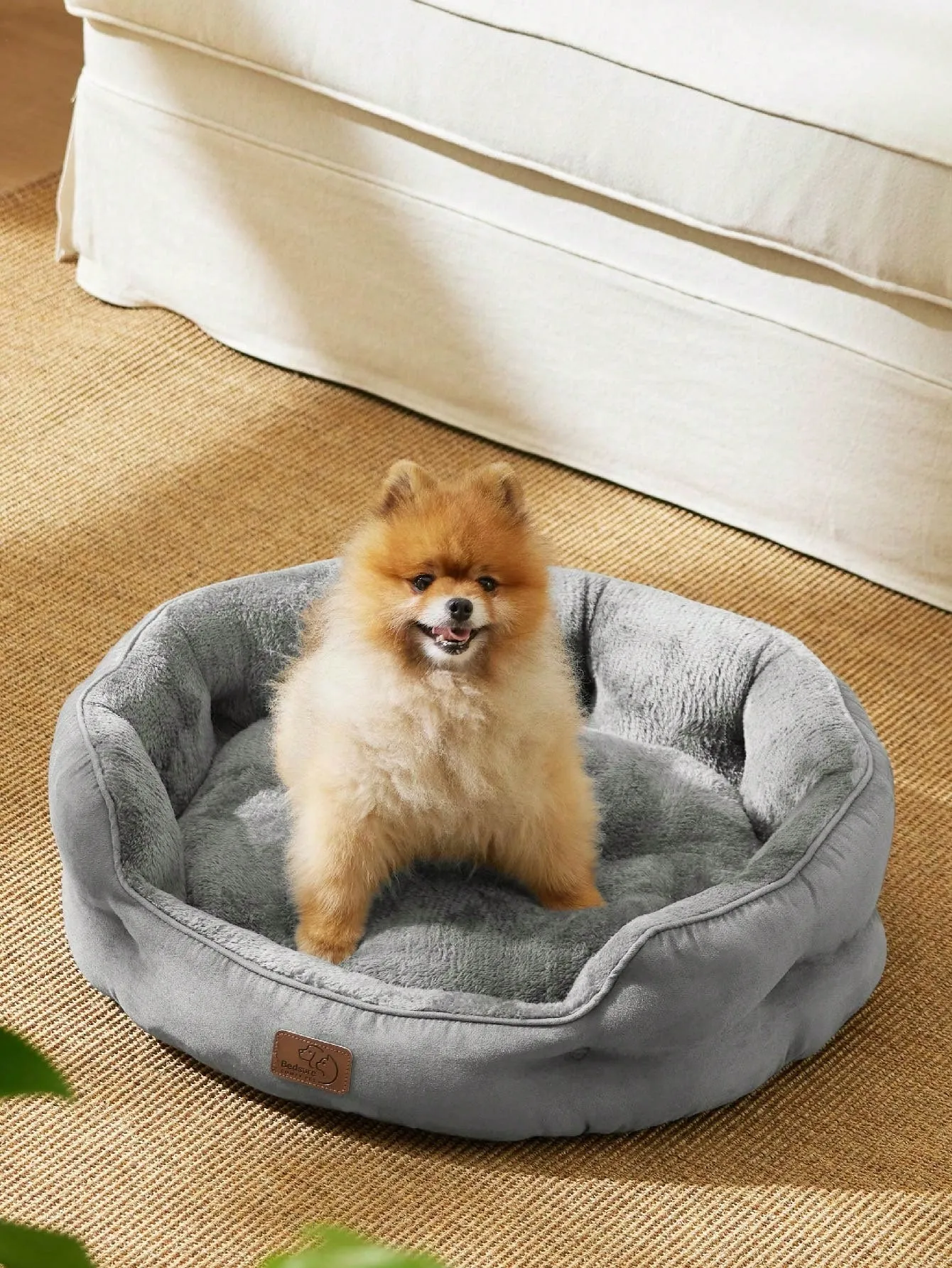 Bedsure Round Cat Beds For Indoor Cats, Dog Beds For Small Dogs