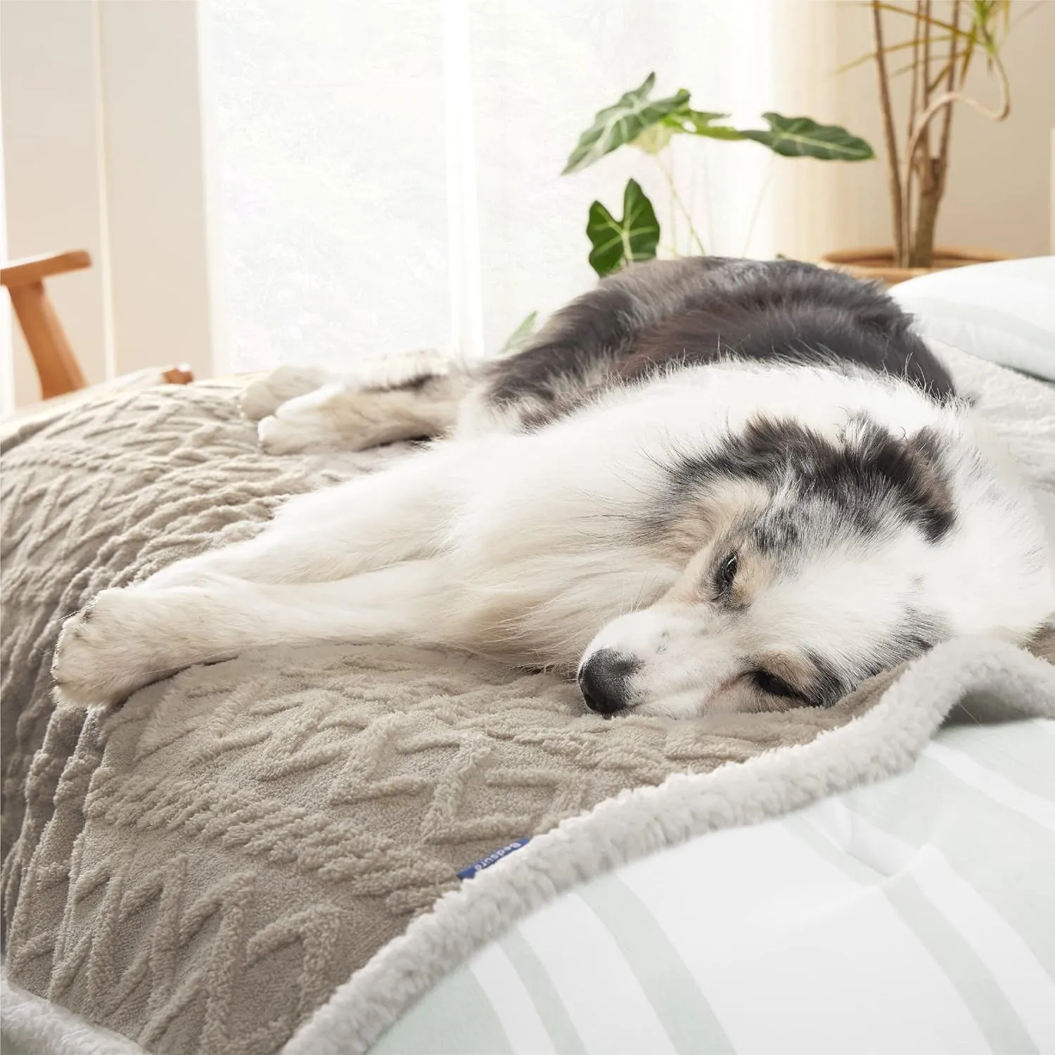 Bedsure Waterproof Dog Blankets for Large Dogs - Pet Blanket for Couch Protector Washable, Jacquard Coral Fleece Cat Throw Blanket, Soft Plush Reversible Furniture Protection, 50"x60", Pale Oak