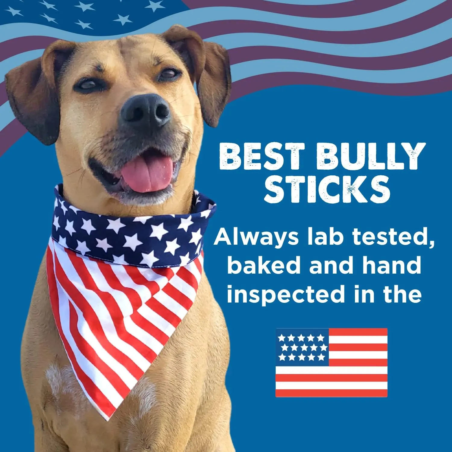 Best Bully Sticks Marrow Bones - 3 Count (Pack of 1) - USA Packed, Healthy Snack, Grass-Fed Beef, Long-Lasting, Great for Large Breeds