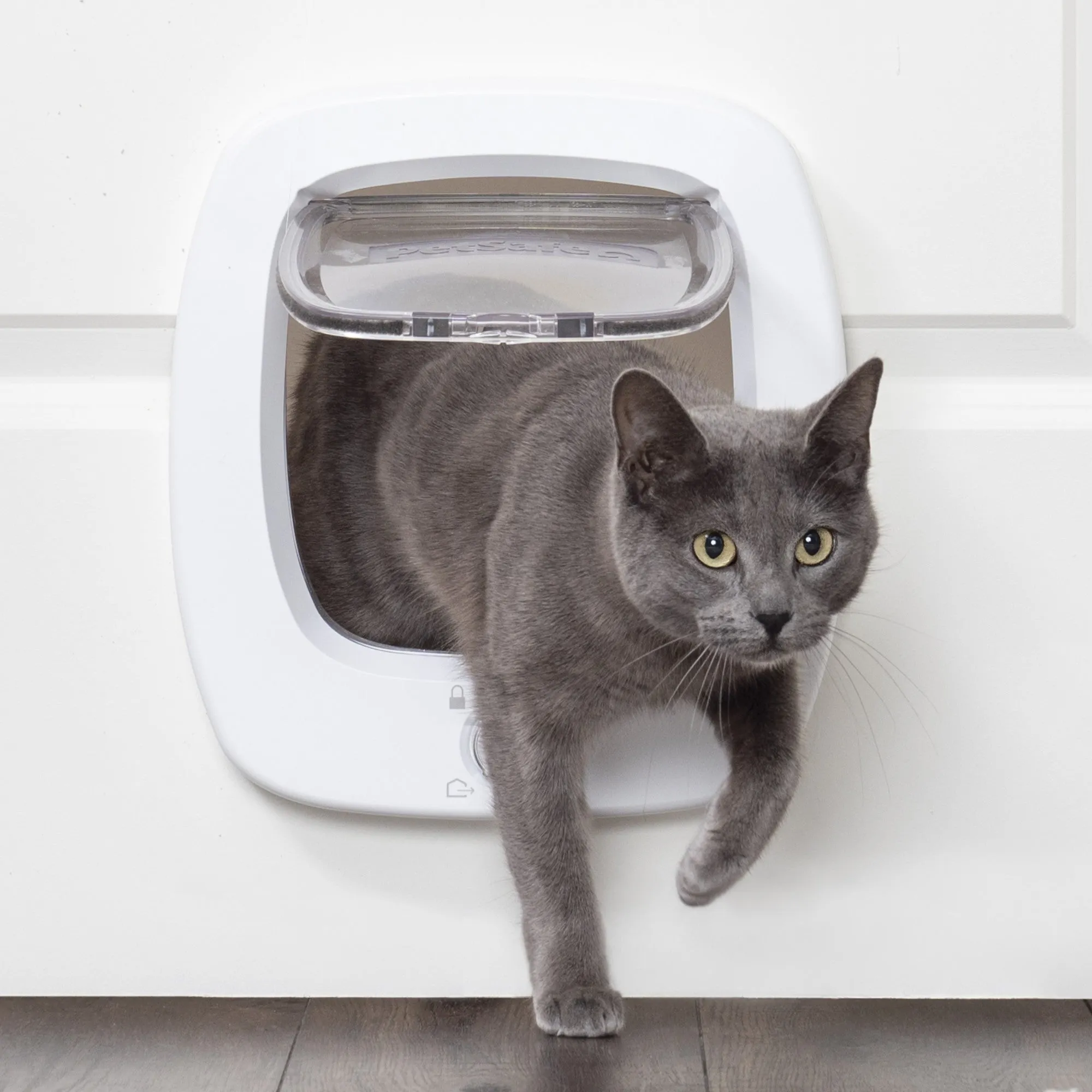 Big Cat Flap