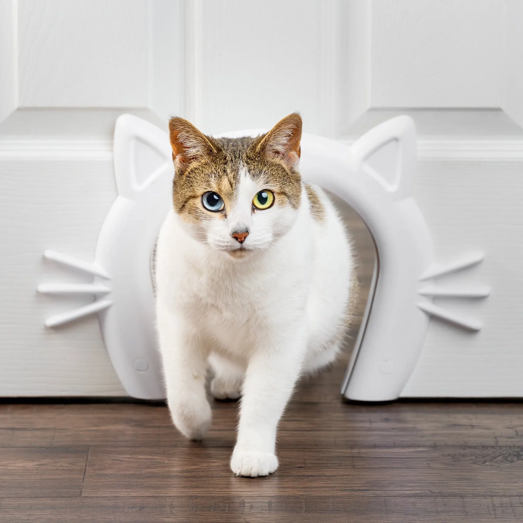 Cat Corridor™ Interior Pet Door