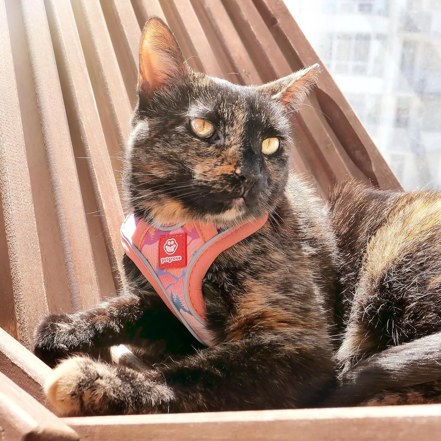 Cat Harness and Leash Set for Walking, Escape Proof Vest Harnesses for Cats, Breathable Mesh with Reflective Strips - (Sienna Mountains), Small