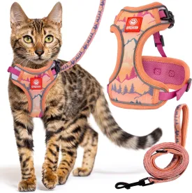 Cat Harness and Leash Set for Walking, Escape Proof Vest Harnesses for Cats, Breathable Mesh with Reflective Strips - (Sienna Mountains), Small