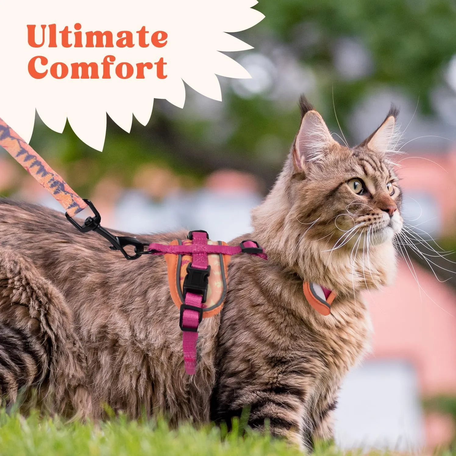 Cat Harness and Leash Set for Walking, Escape Proof Vest Harnesses for Cats, Breathable Mesh with Reflective Strips - (Sienna Mountains), Small