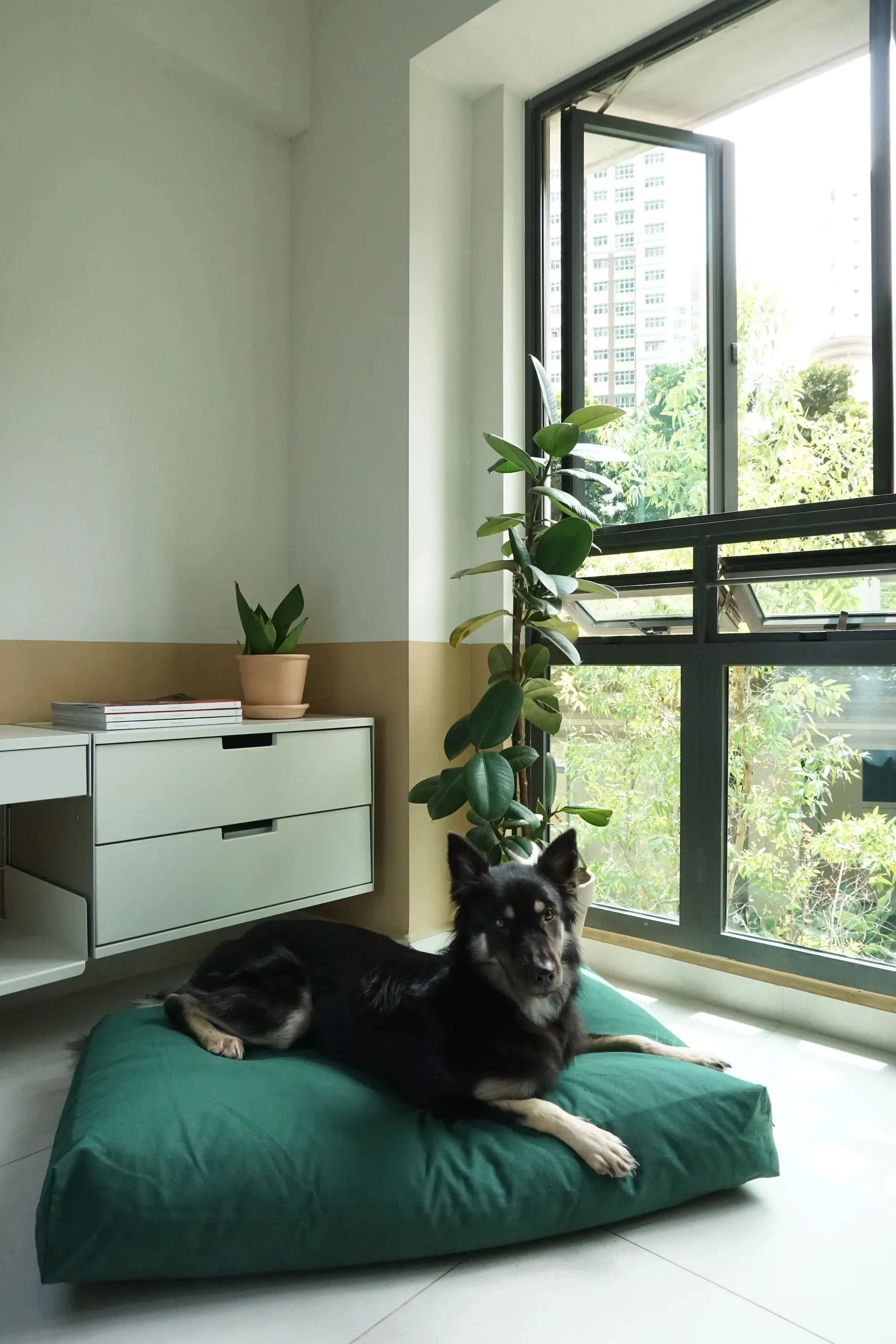 Cloud Kapok Dog Bed - Forest Green