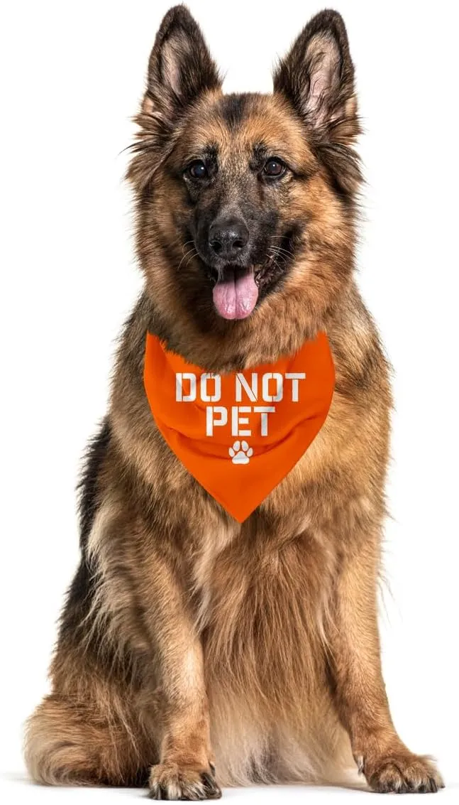 Do Not Pet Dog Bandana, Service Dog Bandana, Service Dog in Training, Service Dog Accessories, Nervous Dog Vest, Do Not Touch Dog Vest, Reactive Dog, Service Dog Stuff (C47)