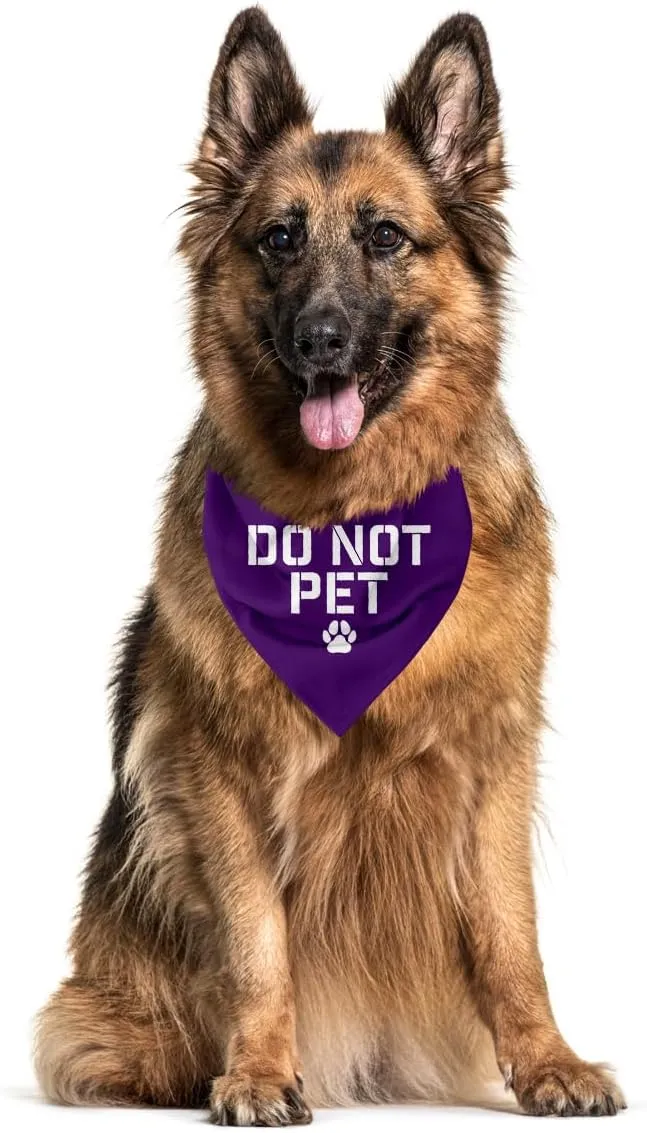 Do Not Pet Dog Bandana, Service Dog Bandana, Service Dog in Training, Service Dog Accessories, Nervous Dog Vest, Do Not Touch Dog Vest, Reactive Dog, Service Dog Stuff (C50)