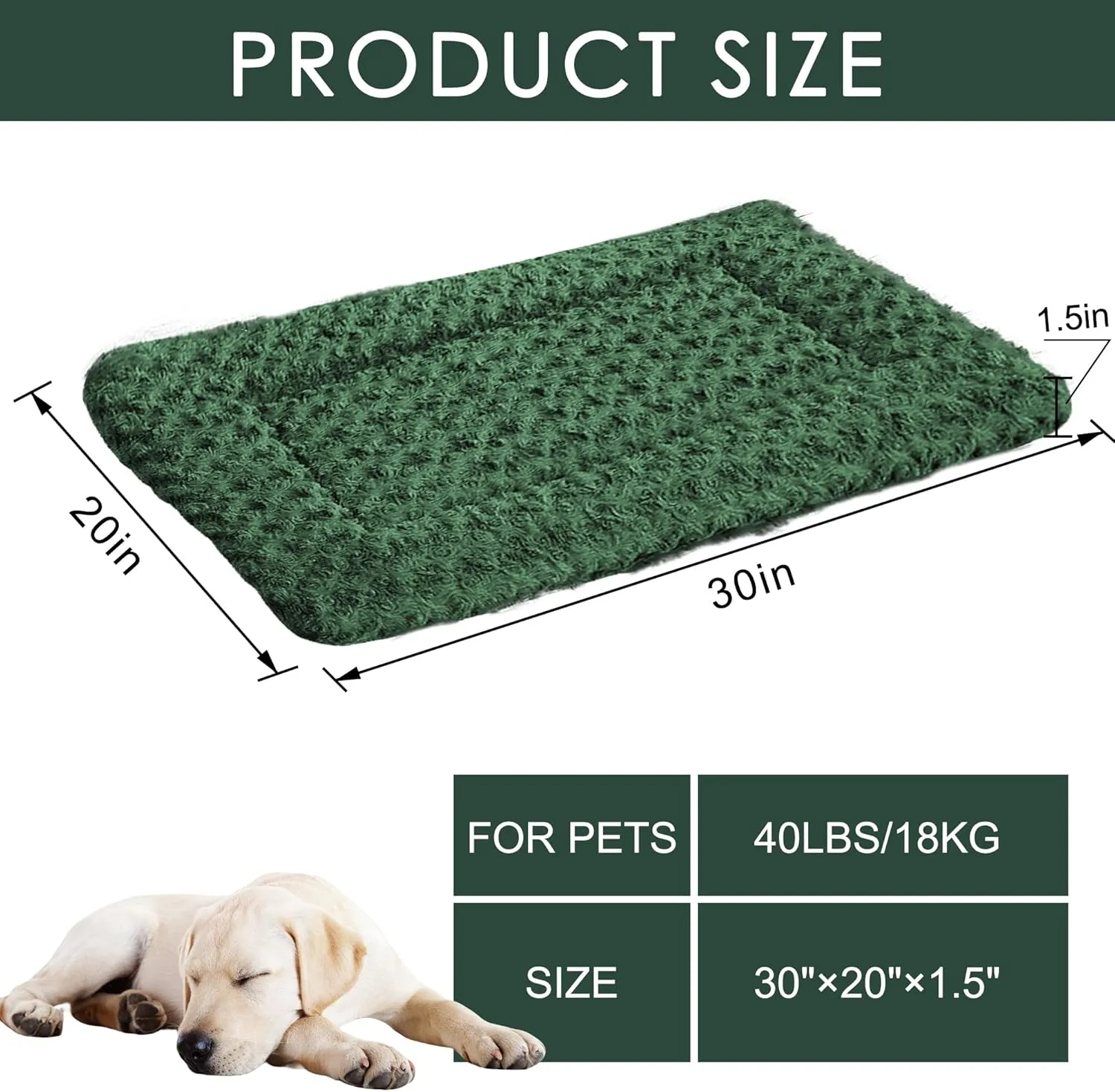 Dog Beds for Medium Dogs - Chew Proof, Plush Mats Designed for Crates & Kennels, Durable and Comfortable for Travel or Home Use, Machine Washable and Waterproof, Perfect for Medium Sized Dogs & Cats