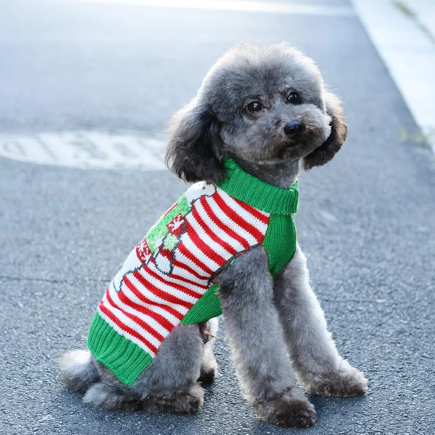 Dog Christmas Sweater Holiday Clothes for Dogs Girl Boy Fall Winter Knitted Soft Warm Puppy Clothing Cute Bear Striped Pet Outfit Ugly Xmas Sweater for Small Medium Dogs Cats(L,Green Red)