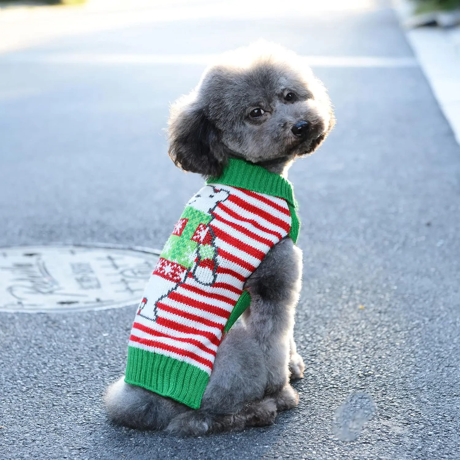 Dog Christmas Sweater Holiday Clothes for Dogs Girl Boy Fall Winter Knitted Soft Warm Puppy Clothing Cute Bear Striped Pet Outfit Ugly Xmas Sweater for Small Medium Dogs Cats(L,Green Red)