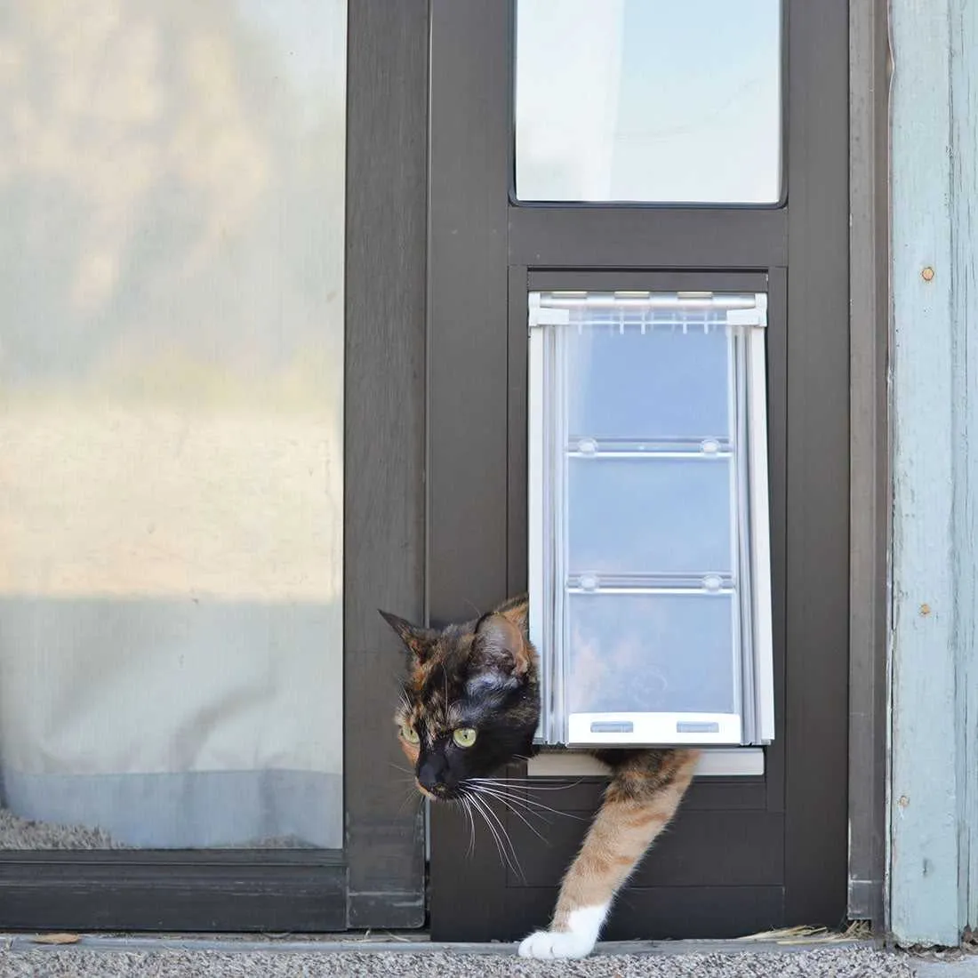 Endura Flap Cat Door for Sliding Glass Doors