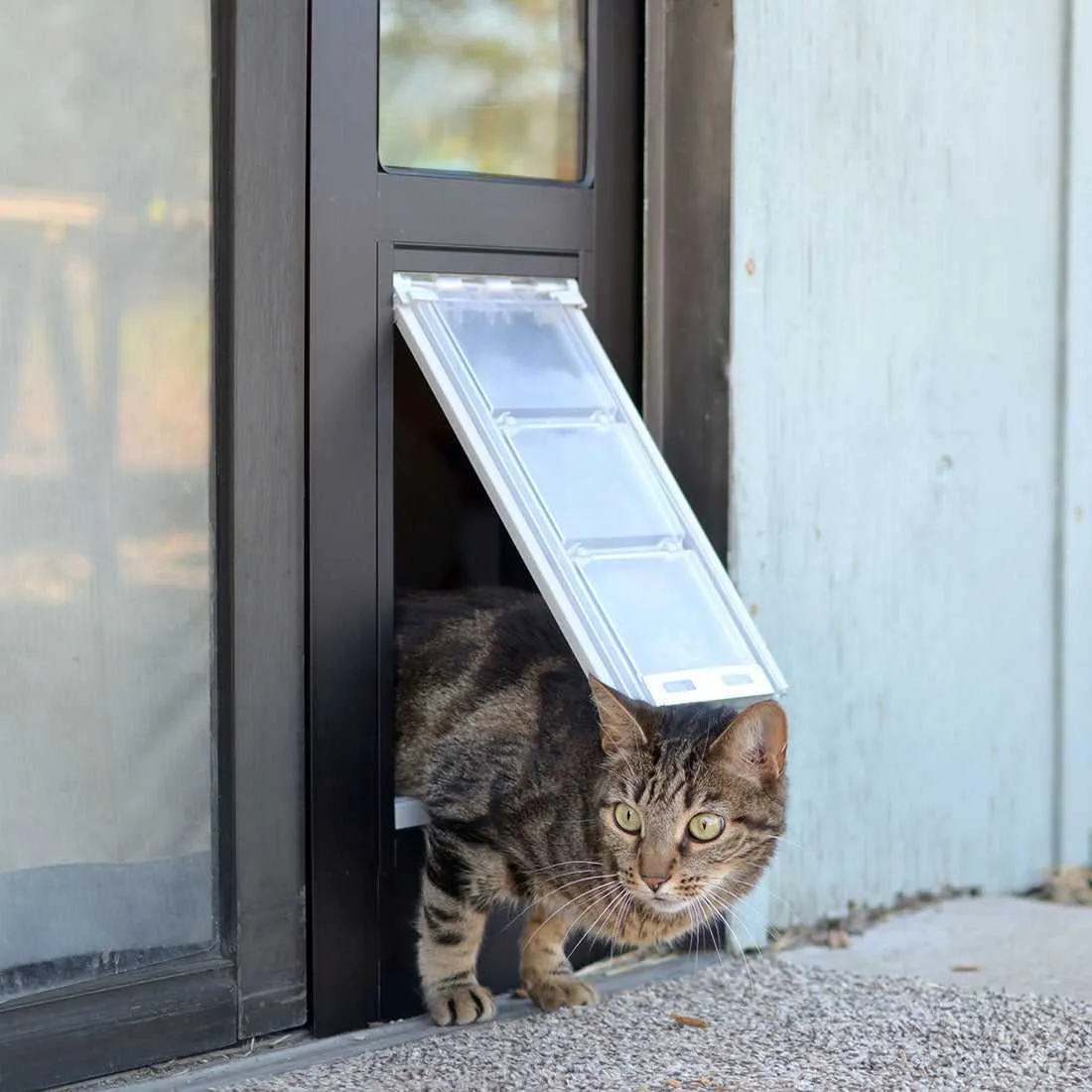 Endura Flap Cat Door for Sliding Glass Doors
