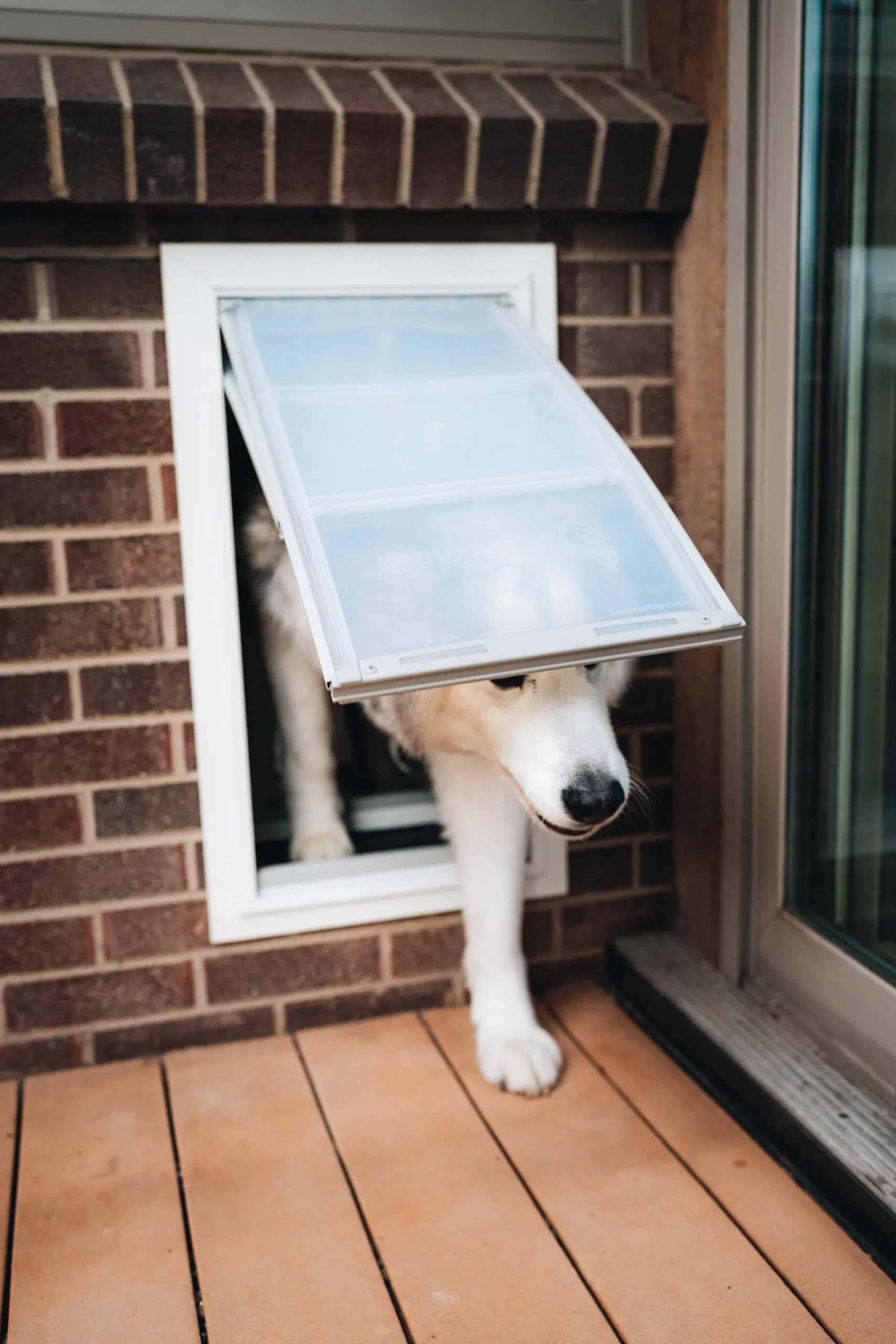 Endura Flap E2 Double Flap Wall Mount Pet Door