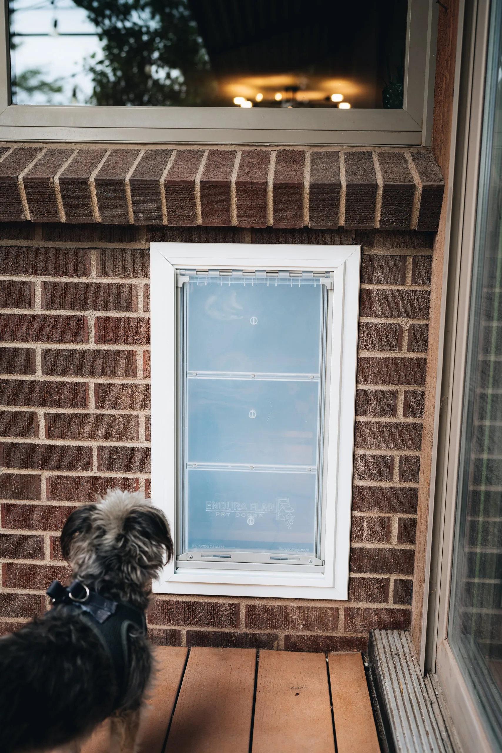 Endura Flap E2 Double Flap Wall Mount Pet Door
