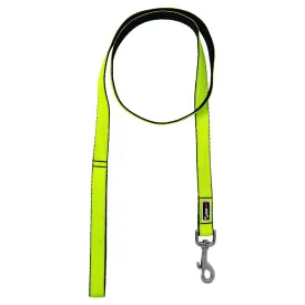 GEARBUFF Pet Walk Premium Leash for Dogs, Kiwi & Black