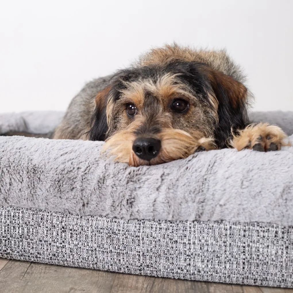 Kazoo Wombat Plush Orthopaedic Memory Foam Dog Bed