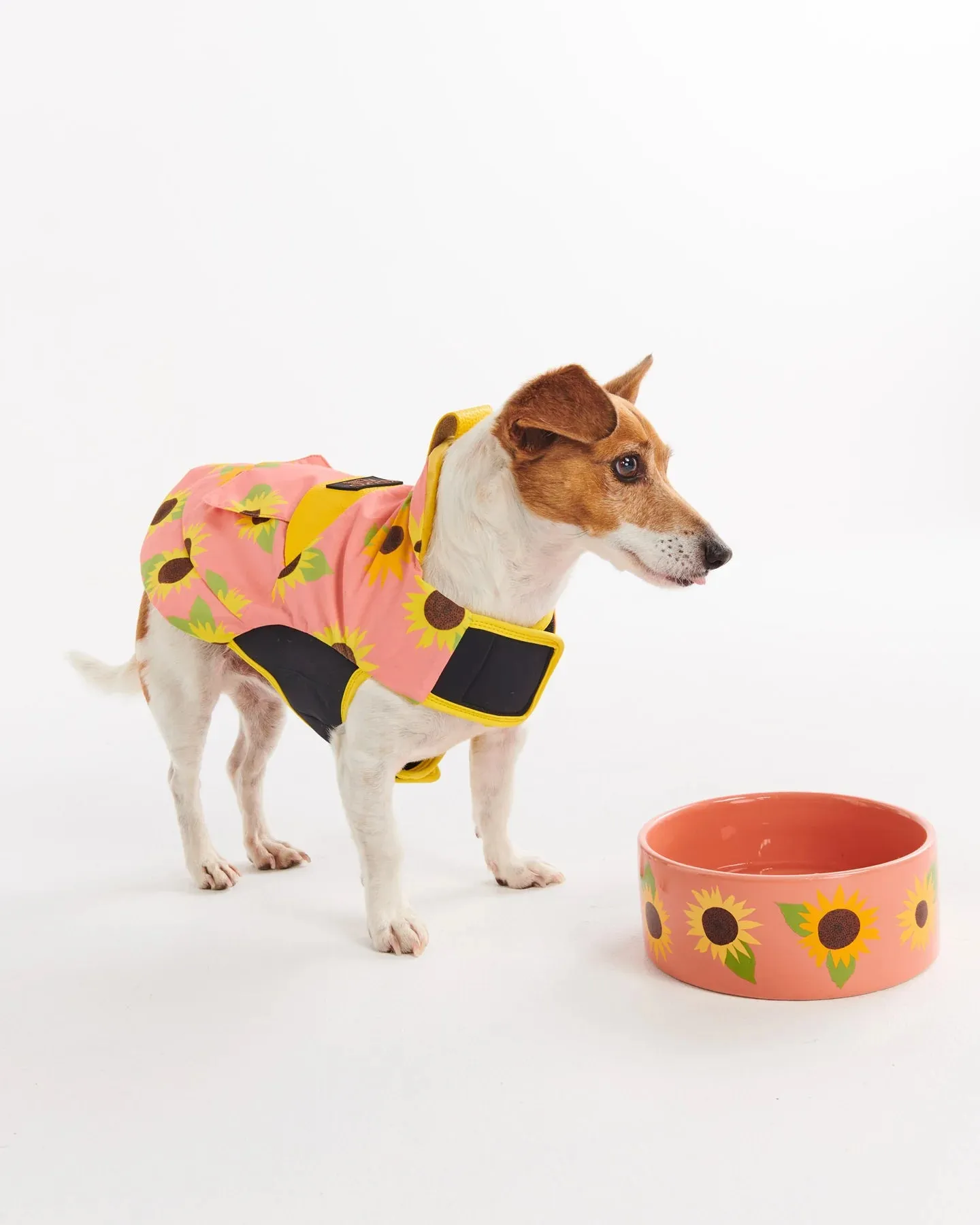 Kip & Co Sunflower Sunshine Dog Bowl Large