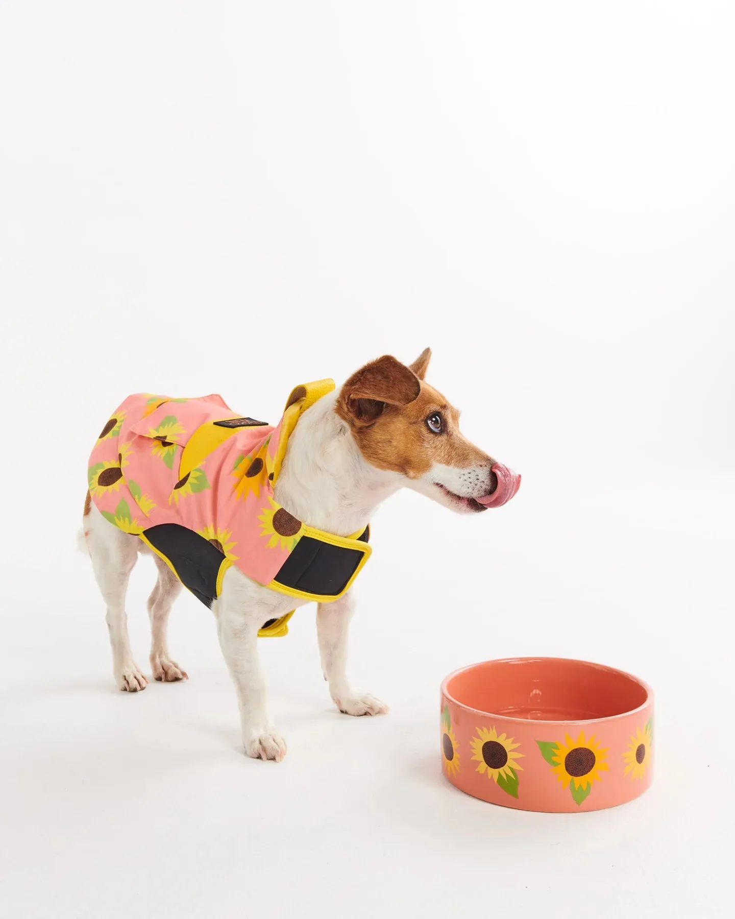 Kip & Co Sunflower Sunshine Dog Bowl Large