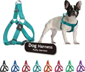 Kruz Original Heavy-Duty No Pull Dog Harness - Ultra Comfort, Lifetime Durability, Pet Harness for Small and Medium Dog Breeds (Mint Green, Medium)