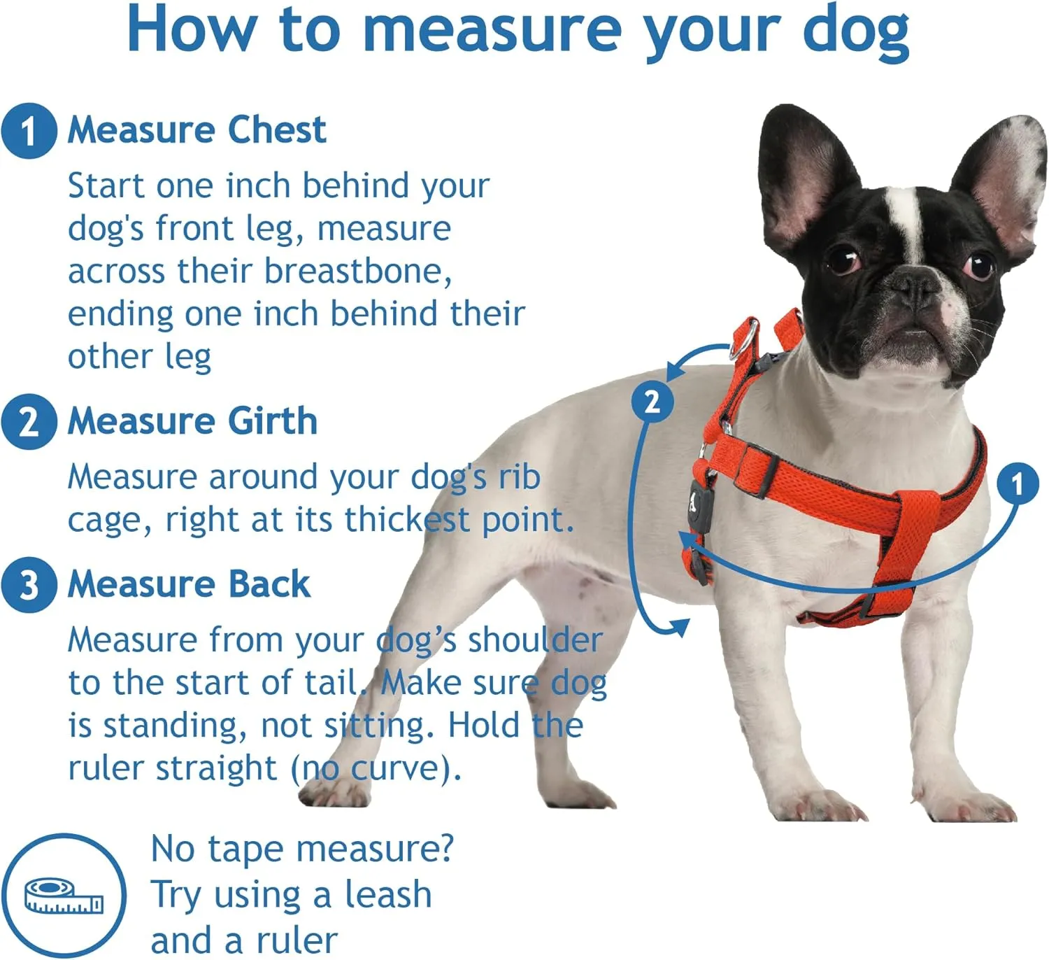 Kruz Original Heavy-Duty No Pull Dog Harness - Ultra Comfort, Lifetime Durability, Pet Harness for Small and Medium Dog Breeds (Mint Green, Medium)