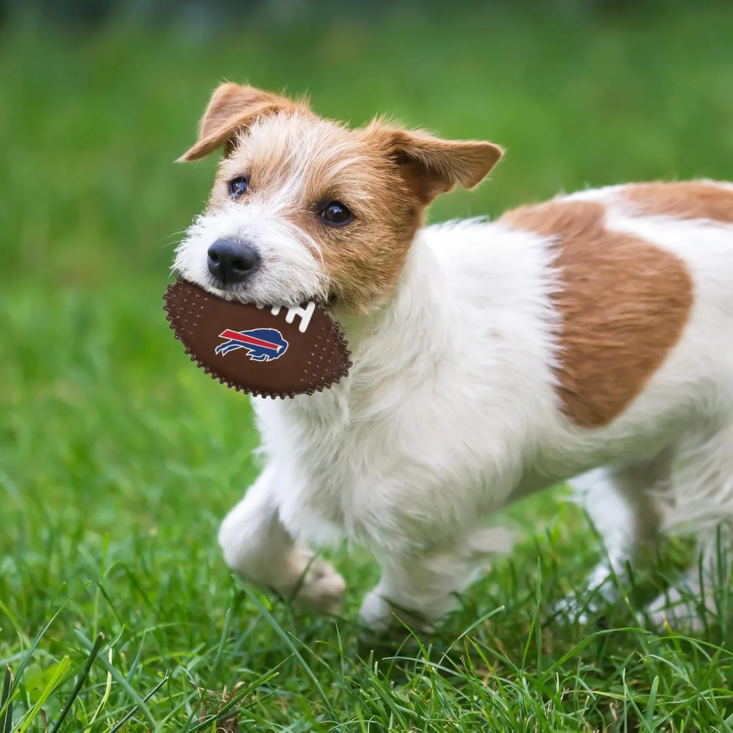 NFL Buffalo Bills Mega- Chew Hard Nylon Bacon-Flavored Dog Bone Football Chew Toy Interactive Tasty Fun Dog Chewy Toys Indestructible Strong Durable Tough Pet Biting Playtoy for Aggressive Chewers