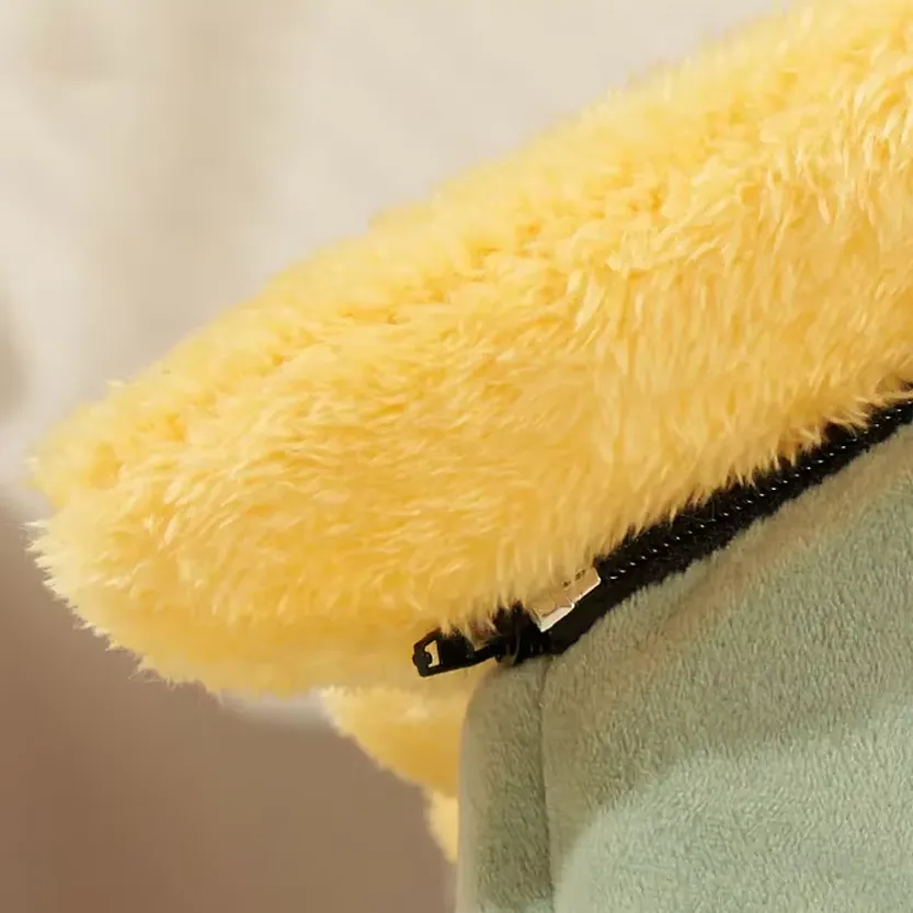 Pat and Pet Emporium | Pet Beds | Cute Foldable Pet House