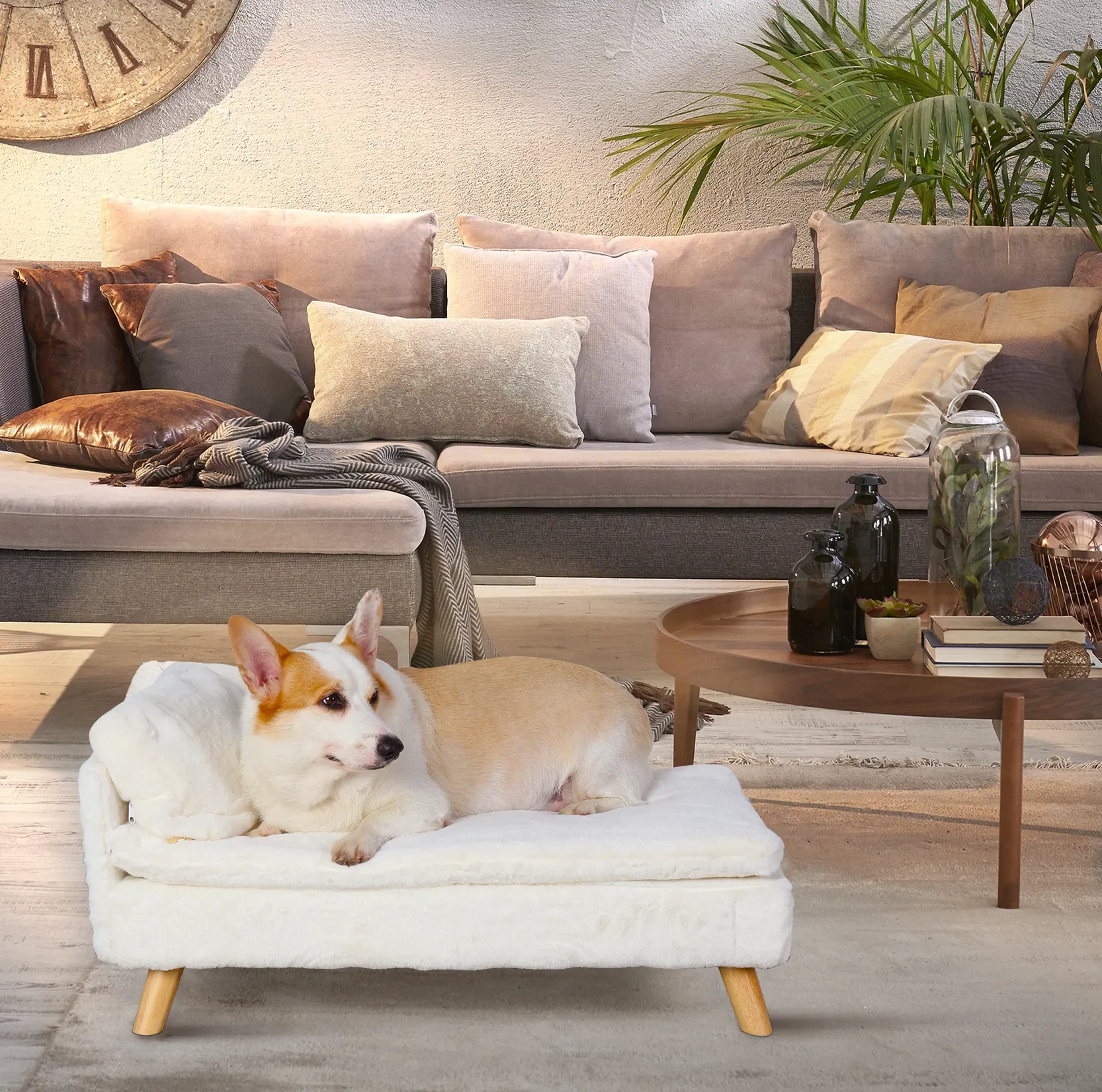 Pat and Pet Emporium | Pet Beds | Pet Sofa | Chaise Loungers