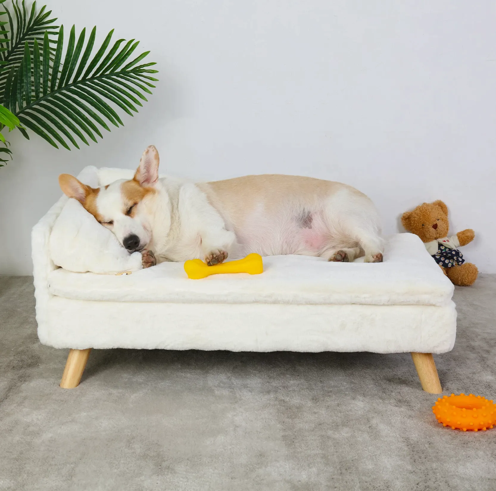 Pat and Pet Emporium | Pet Beds | Pet Sofa | Chaise Loungers